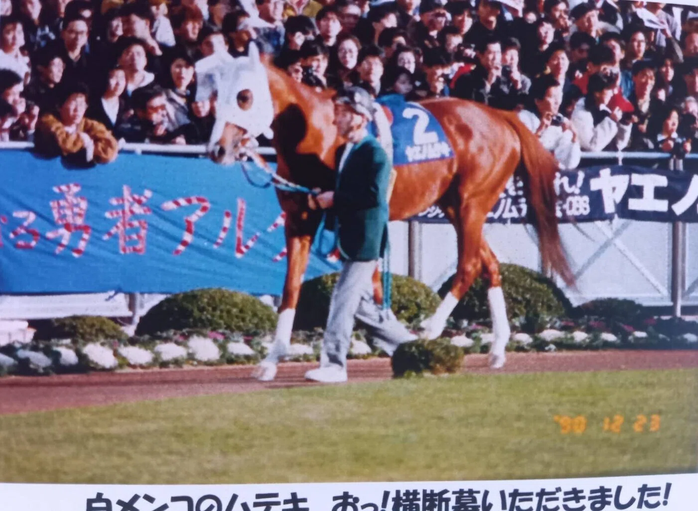 馬の瞳を見つめて(増補版)26｜渡辺はるみ