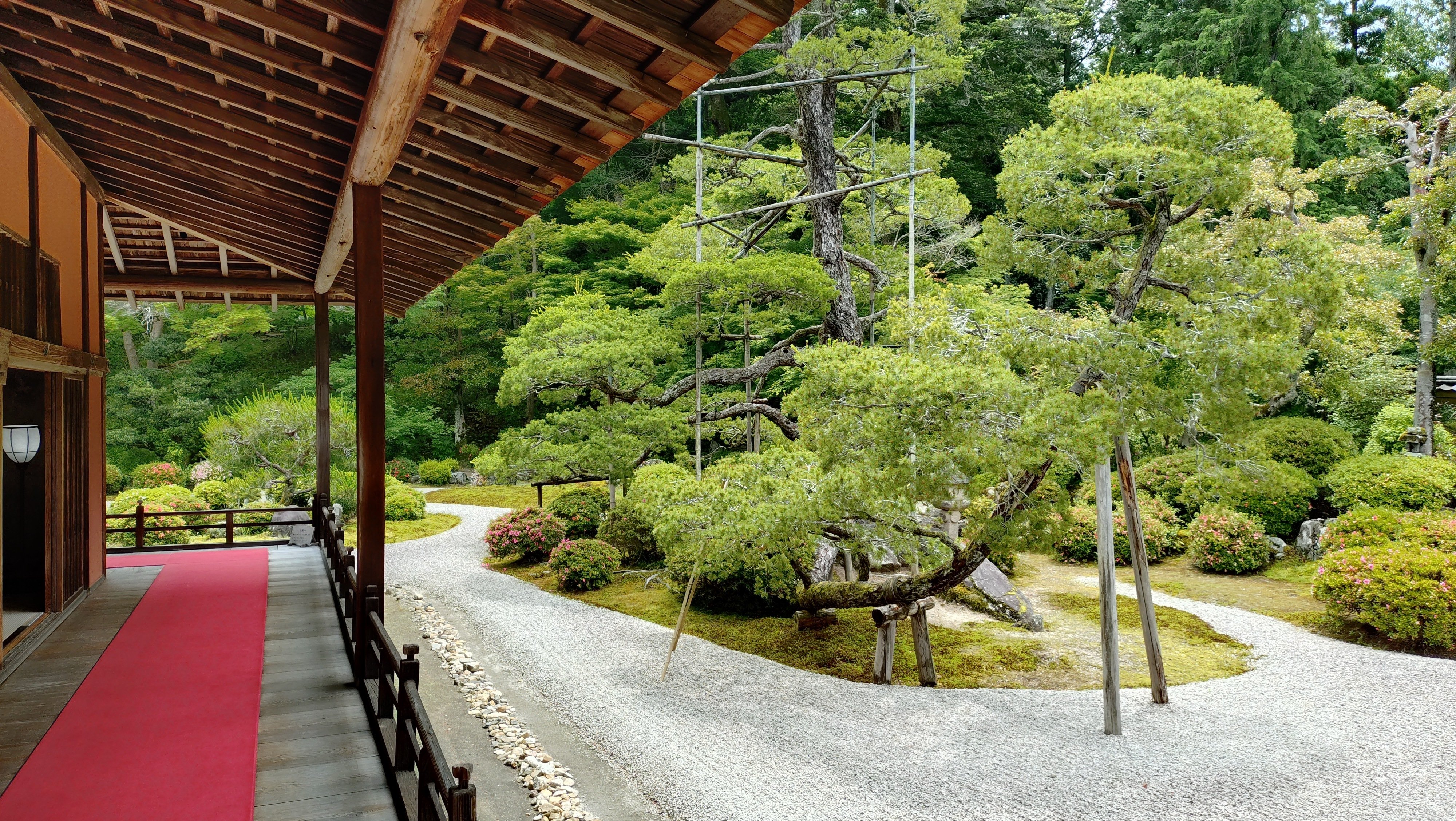 ３　八窓の茶室　杓茶碗　曼殊院　門主門跡寺院の住職一山一教派の長 司馬遼󠄁太郎が半世紀前に眺めた“小さな桂離宮”曼殊院の庭｜偉人