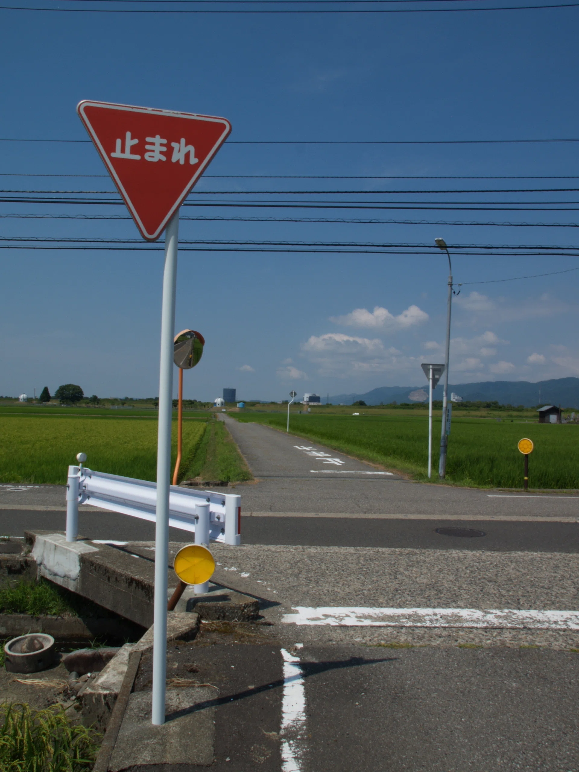 フォーサーズレンズだより(その8：ELMAR 14-50mm F3.8-5.6)｜cherubino