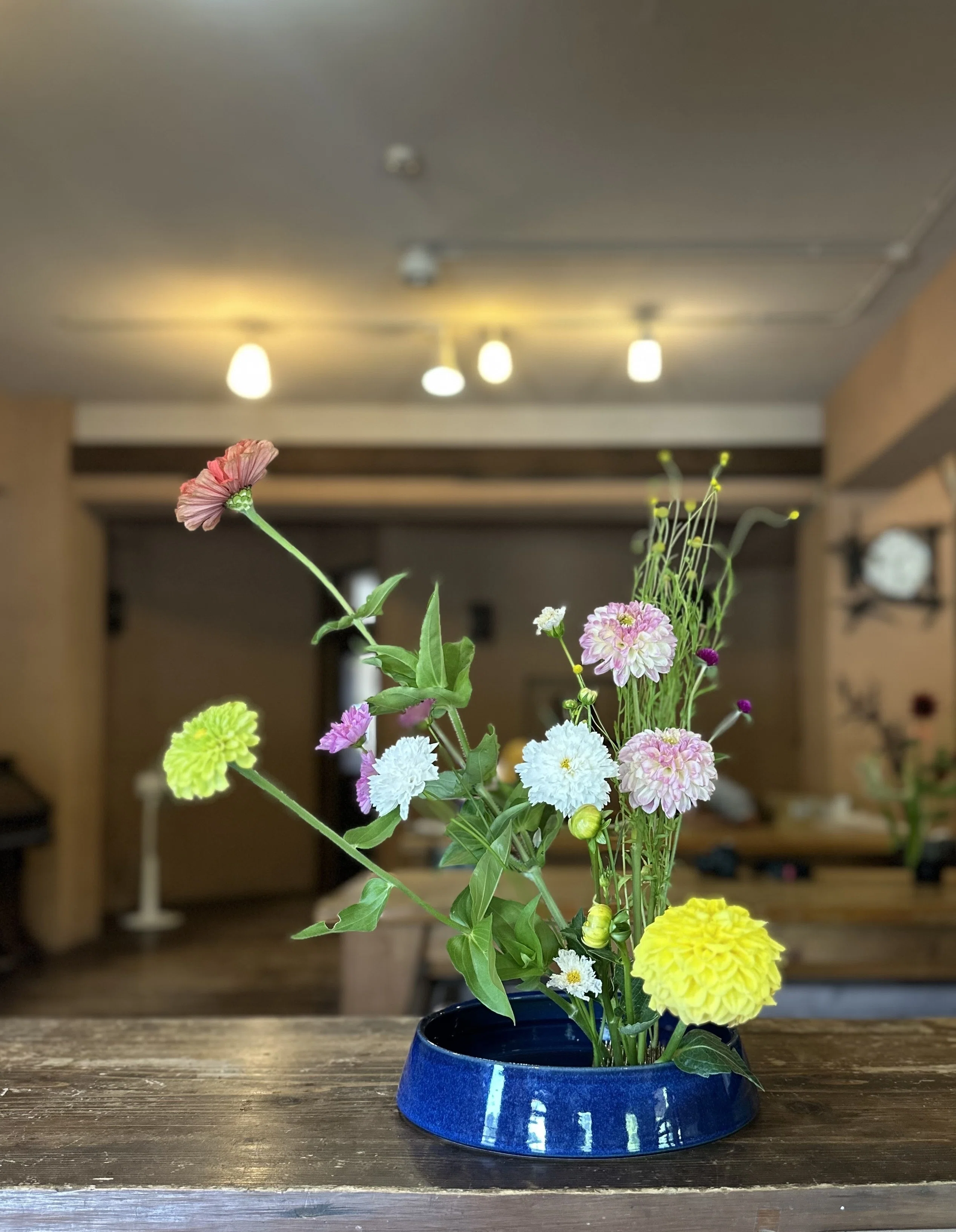 花畑で遠征いけばな！史上最高の香りの花とは｜ichirin