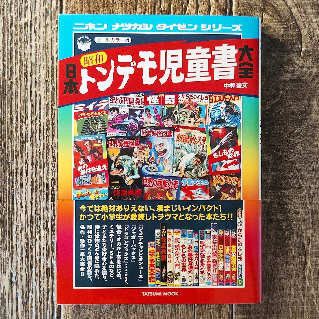 【 レア!!な児童文学 】 ぼくが消えた日 金重剛ニ / 大古尅己 レア!!な児童文学 】 ぼくが消えた日 金重剛ニ / 大古尅己
