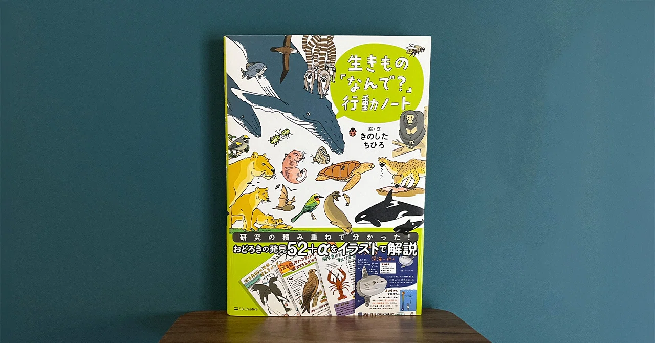 わかりやすさMAX-イラストで知る動物行動学｜津幹 みむ＊動物たちを描く人