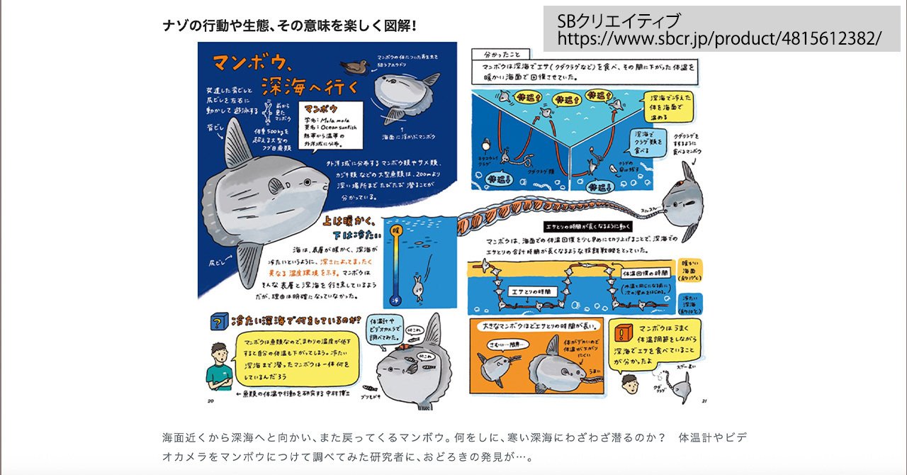 【美品】小動物の軟部外科テクニック―イラスト解説 美品】小動物の軟部外科テクニック―イラスト解説 美小動物の軟部外科