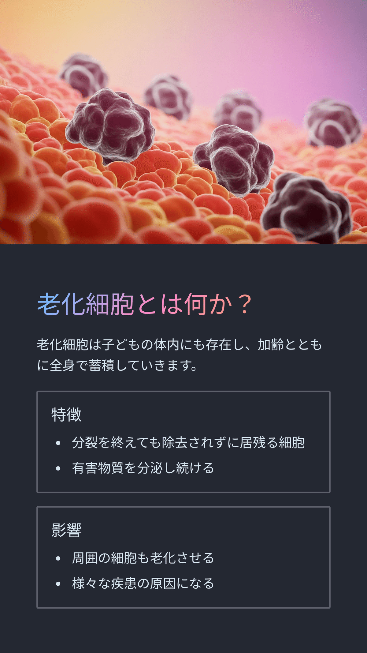 皮膚の抗老化最前線 老化細胞除去薬とその未来 ― 健康寿命を延ばす新しい治療法