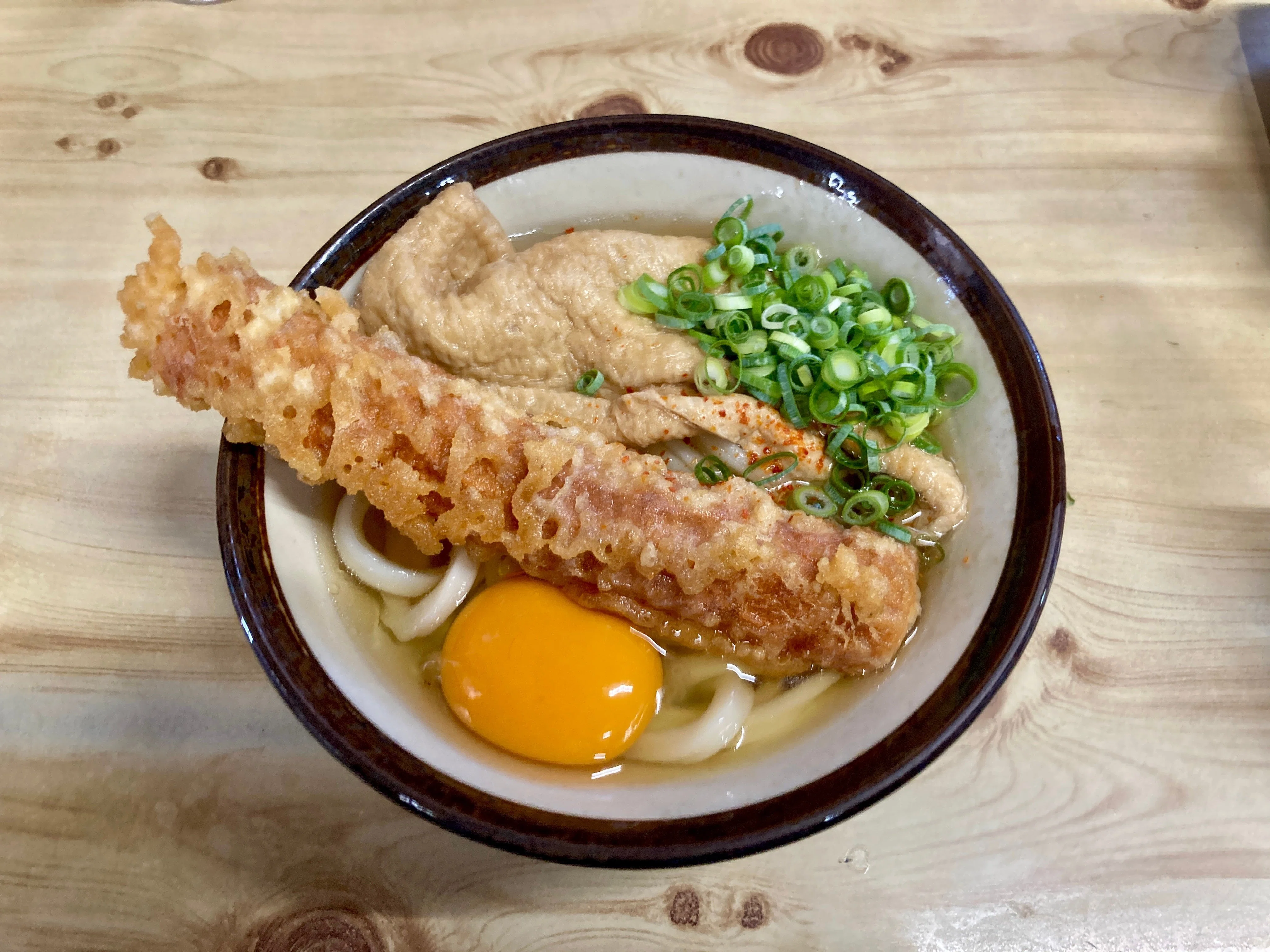 高松〜松山 180km徒歩の旅（1）高松〜丸亀「がもううどん」と