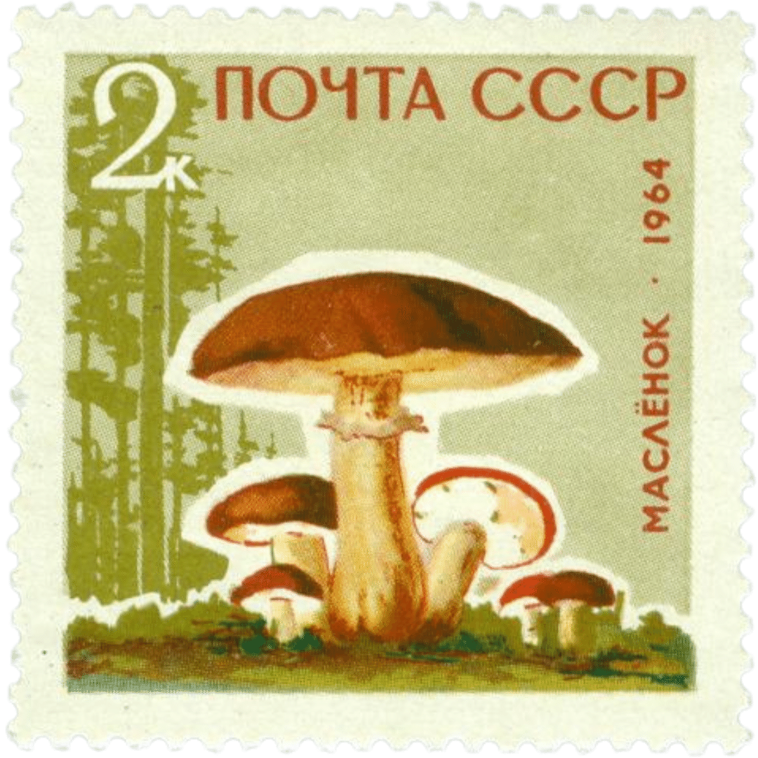 ソ連の『きのこ切手』が語るロシア｜Academic Russian Language