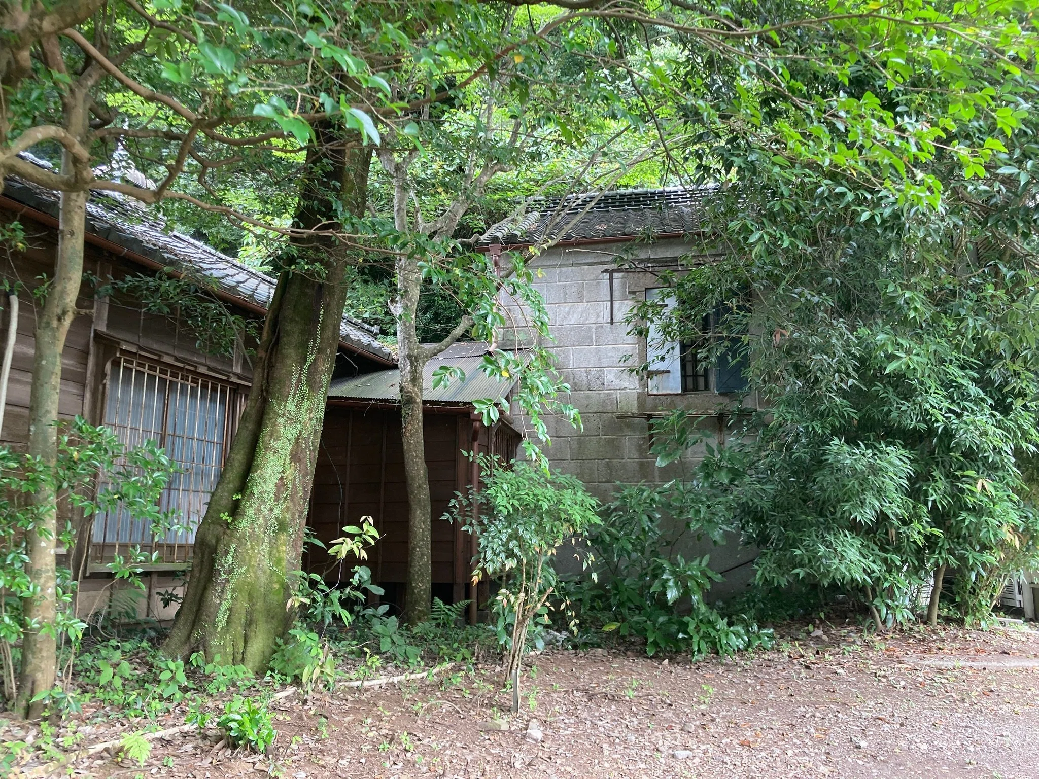 文化財に泊まりたい。」No.8-4（完） 箱根湯本散策と重要文化財の宿