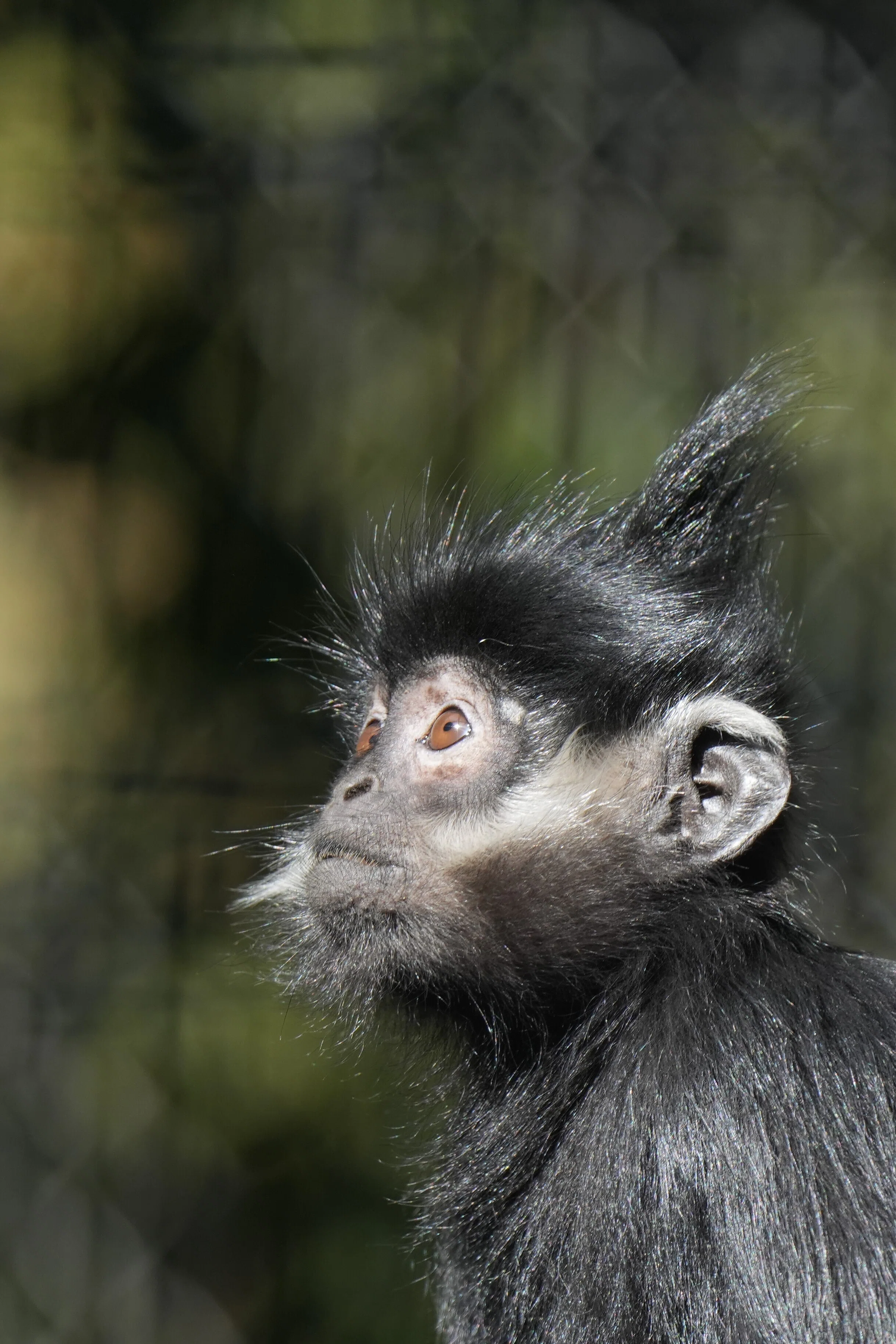 動物写真の世界 いろいろな動物 その2｜minatororo