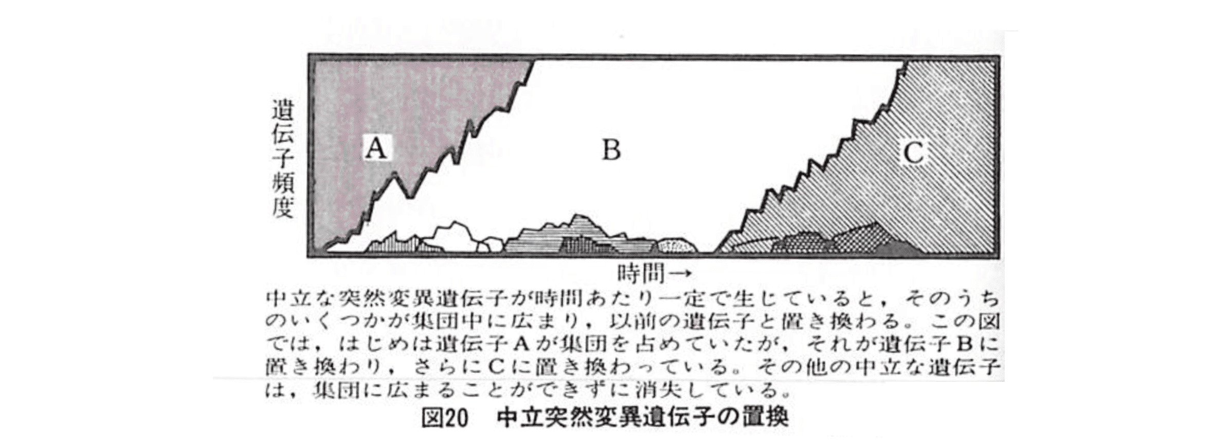 はじめての進化論 [2025年注釈付]｜河田 雅圭