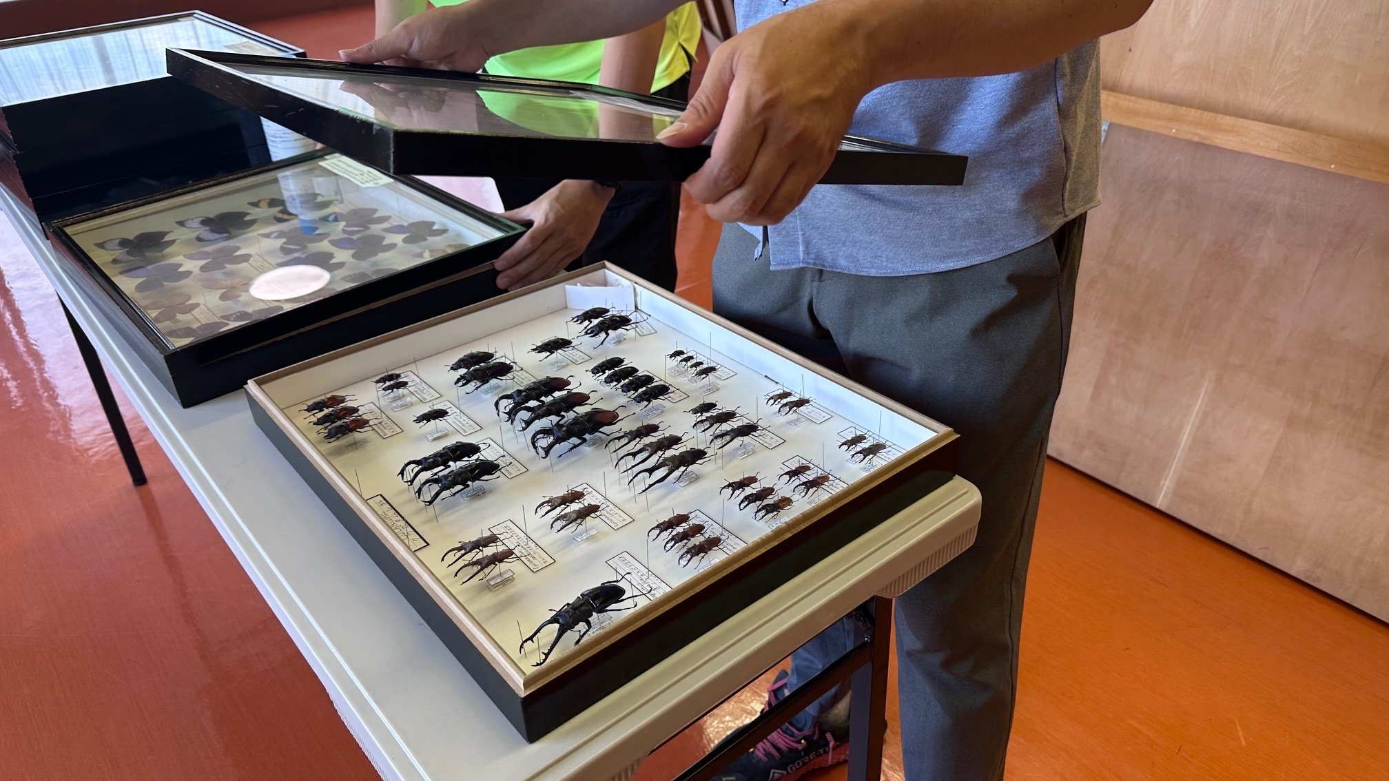 みんなの好きな昆虫たち…実際は超クサッ？！ほんとはこの強烈さ