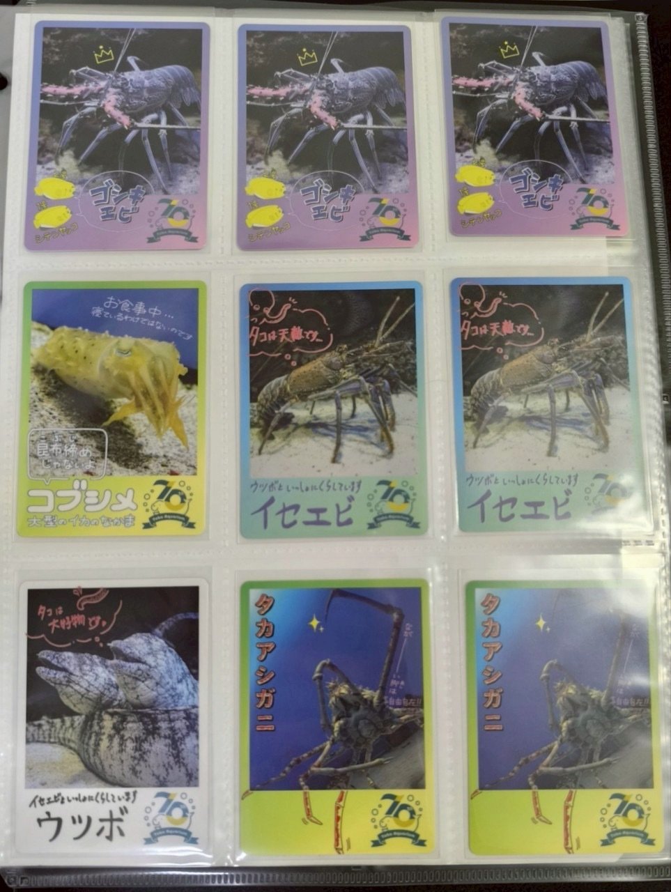 鳥羽水族館 コレクションカード 44種類 【バラ売り100円】鳥羽水族館