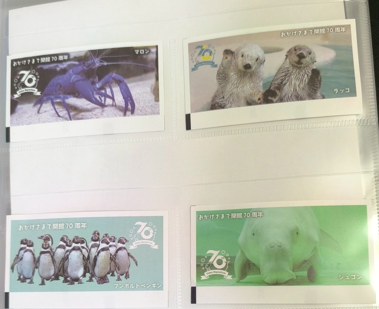 鳥羽旅行おまけ】鳥羽水族館でゲットしたグッズ｜コレクションカード