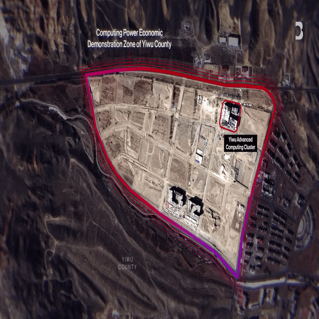 1ぺア】パルナシウス・アポロ（中国/新疆省） 1ぺア】パルナシウス