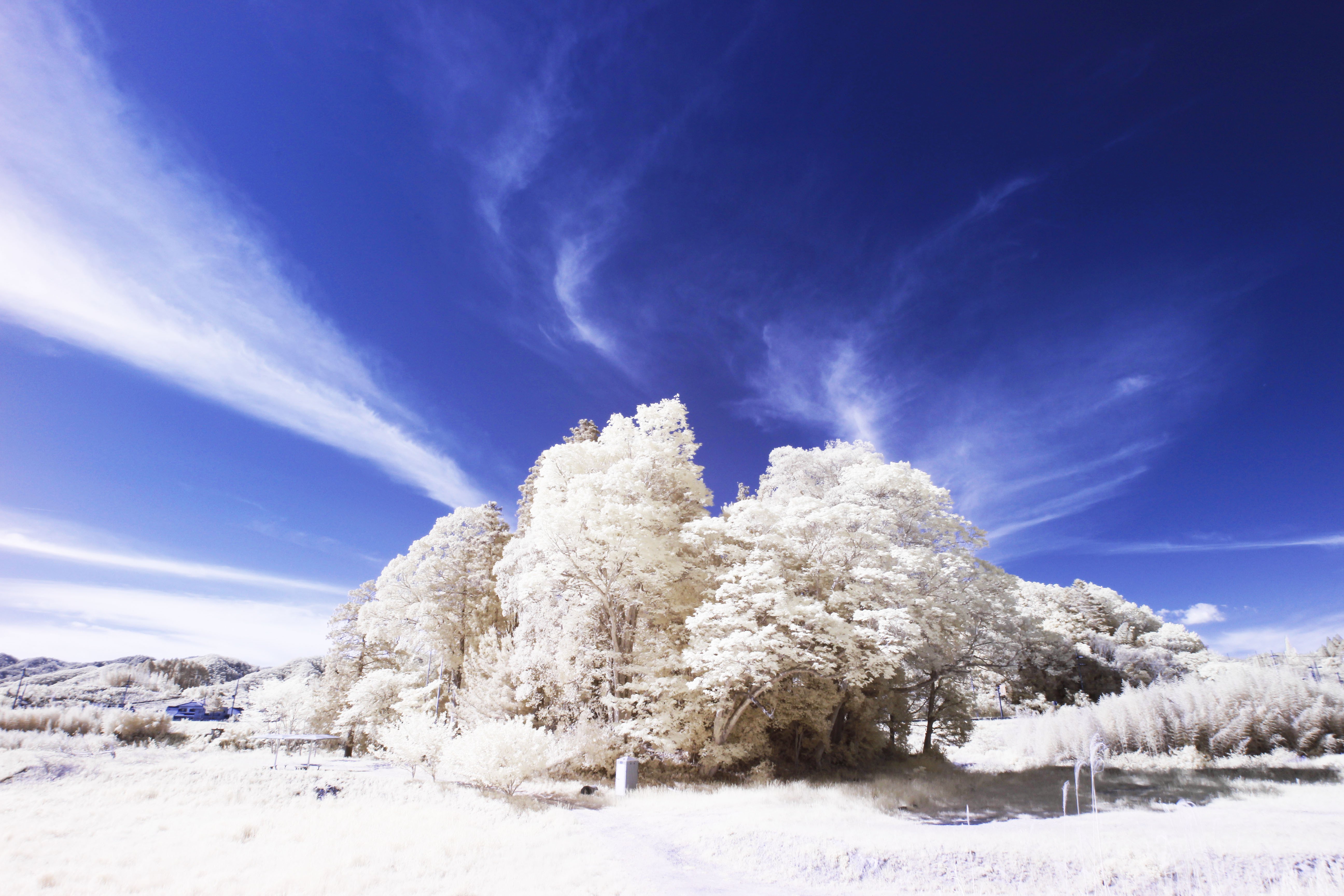 赤絵三段飾り　雪景色朝日 冨嶽三十六景 礫川雪の且 | 葛飾北斎 | 収蔵品詳細 | 作品を知る