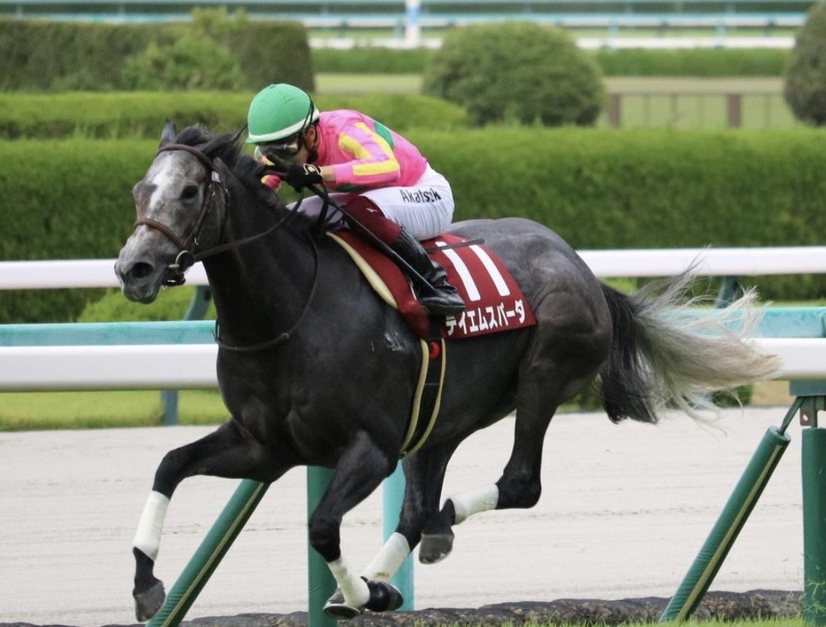 アイビスSD必勝🔥魔法の賽｜【馬券録】ハンチョウ