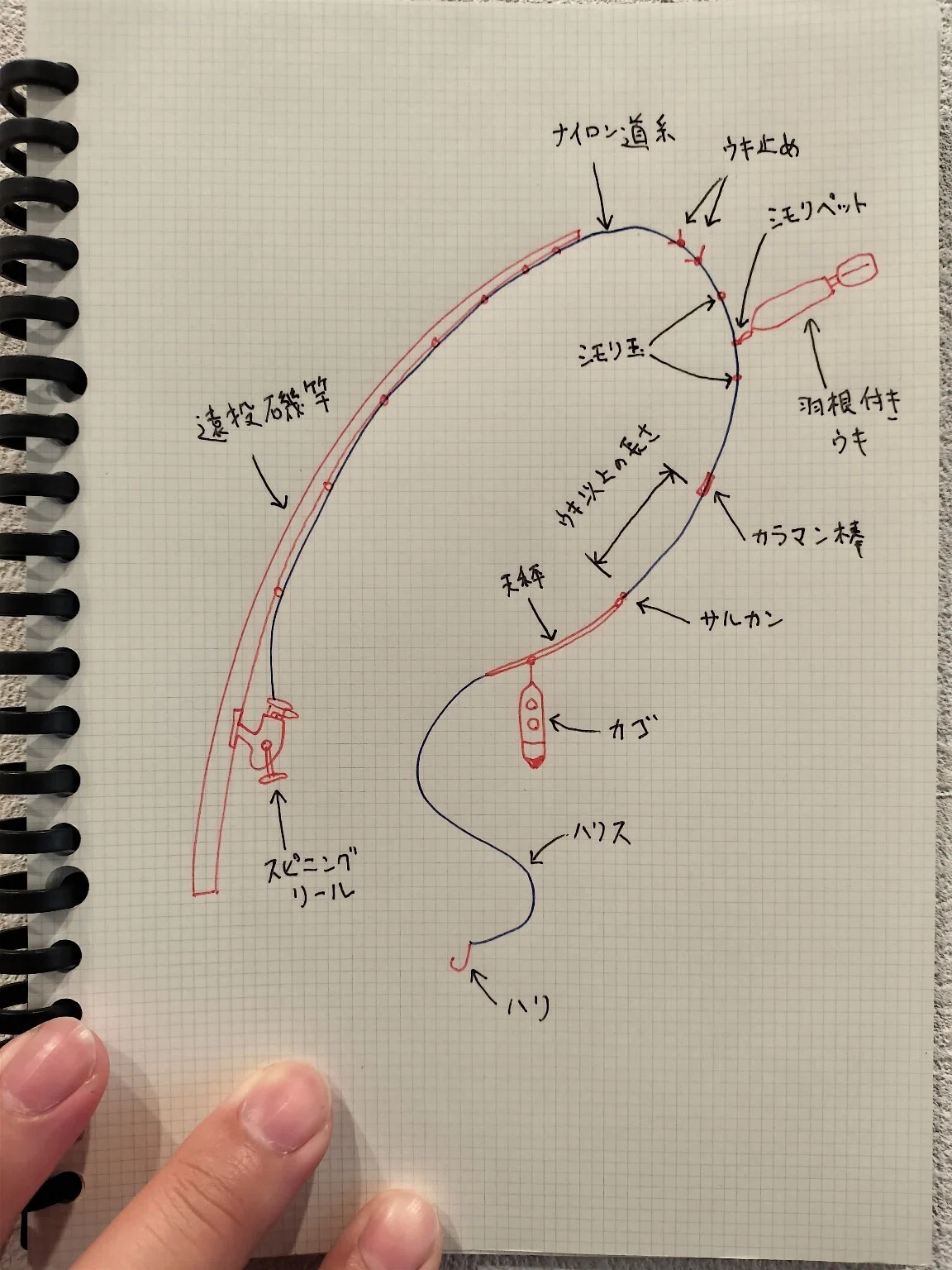 ライトカゴ釣り仕掛け図