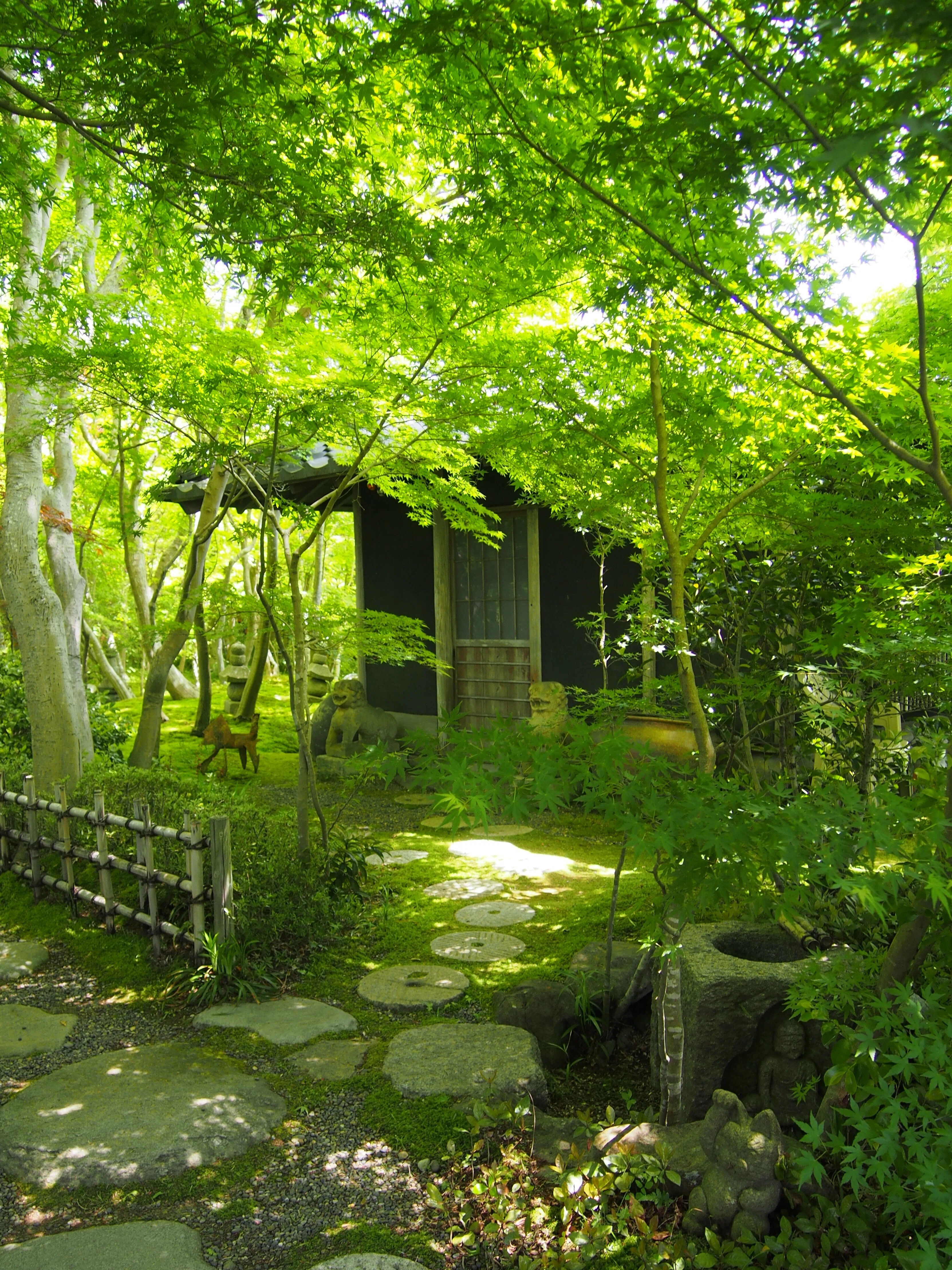 贅沢な緑の時間。松山庭園美術館で深緑を味わい尽くす。｜niwa_emon