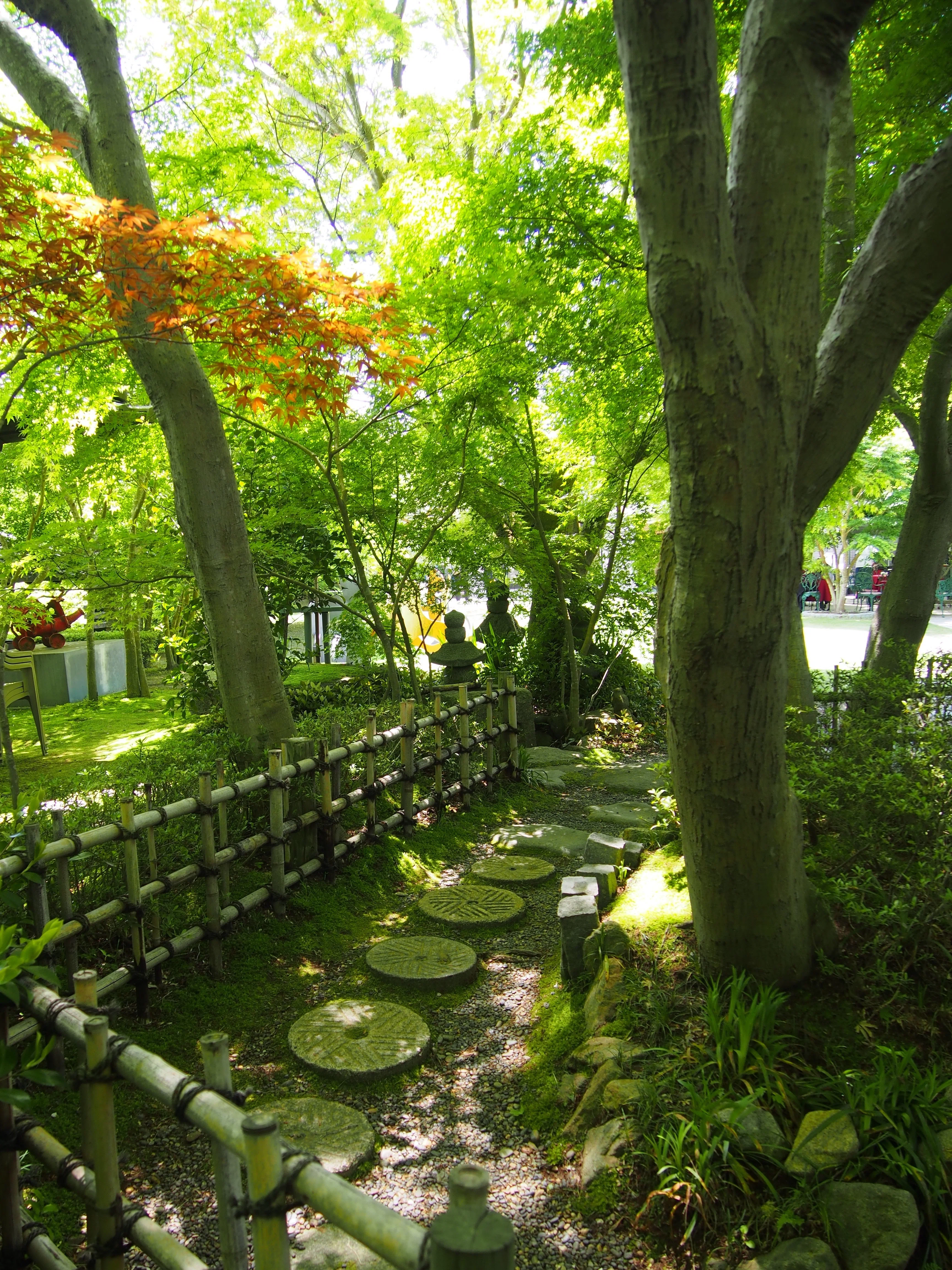 贅沢な緑の時間。松山庭園美術館で深緑を味わい尽くす。｜niwa_emon