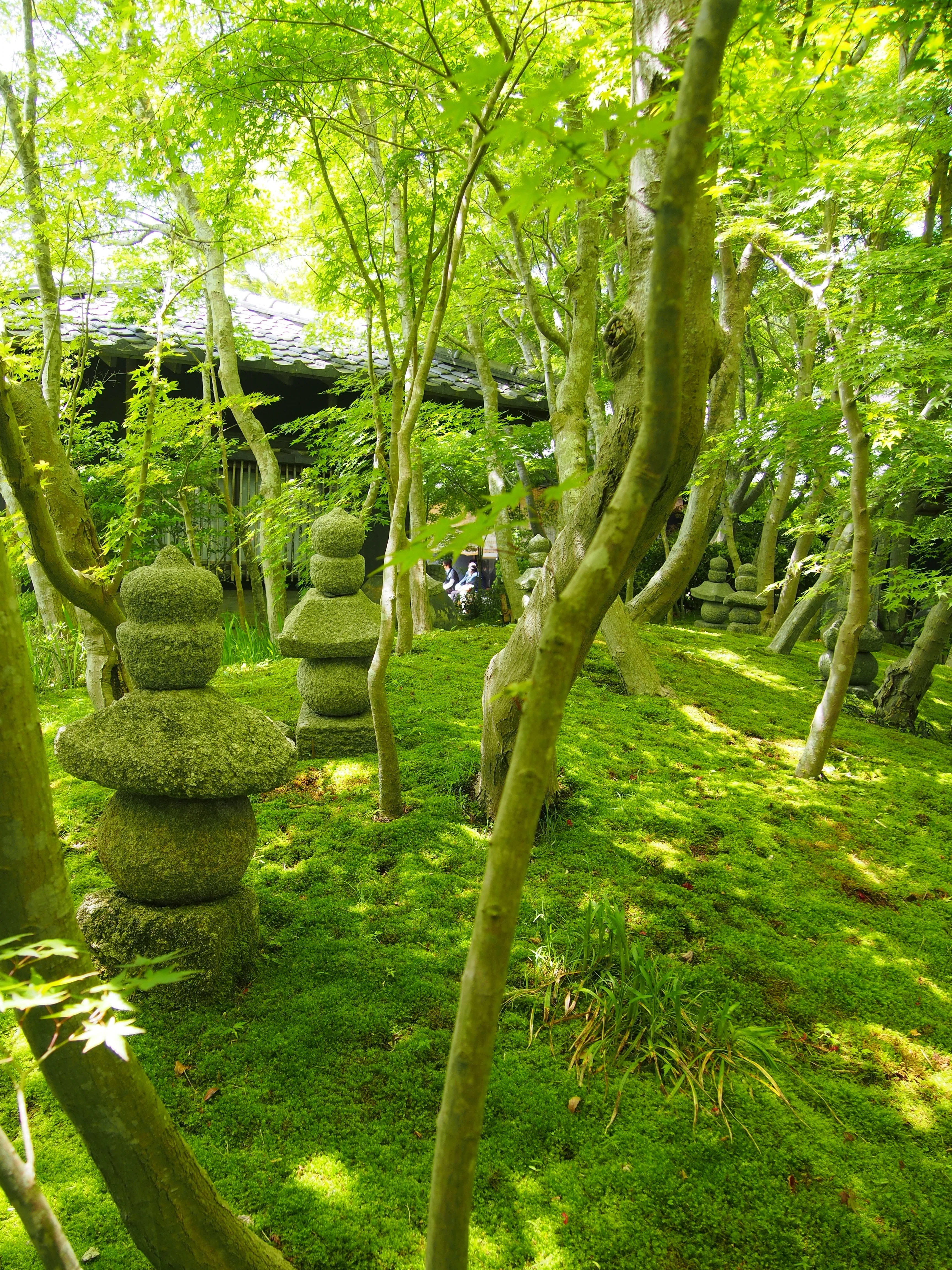楕円形 水盤 約30cm水、常滑松泉焼、山秋造華道 贅沢な緑の時間。松山庭園美術館で深緑を味わい尽くす。｜niwa_emon