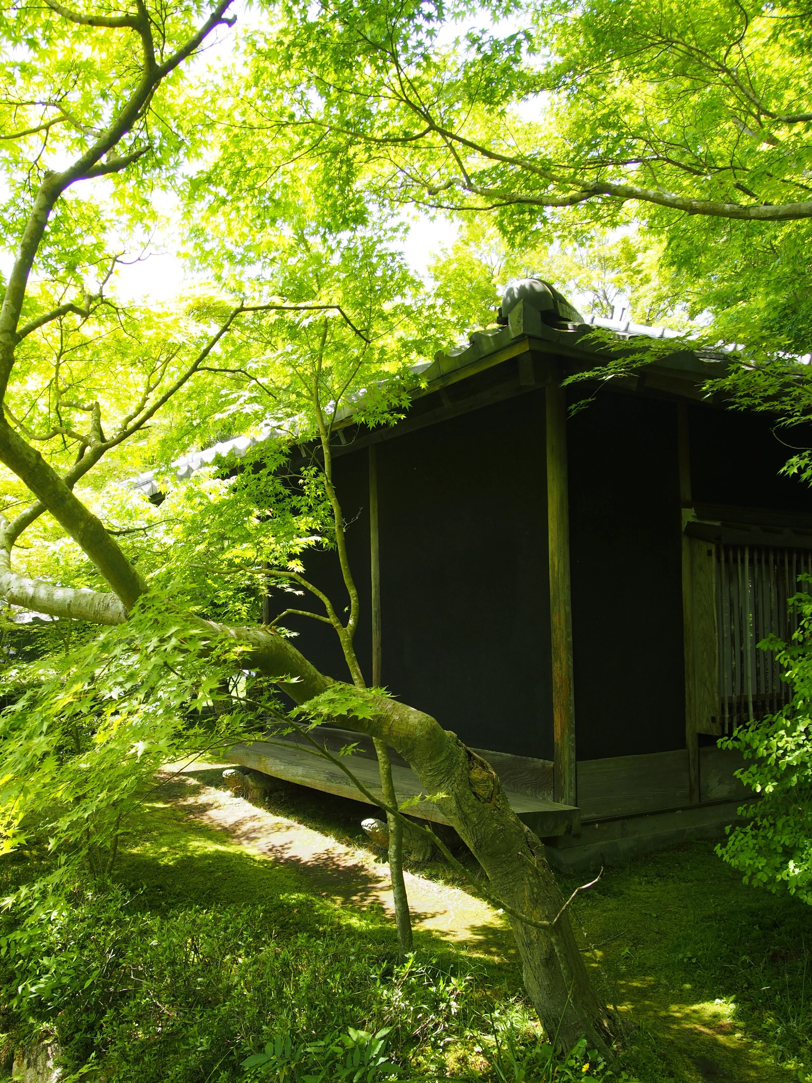 贅沢な緑の時間。松山庭園美術館で深緑を味わい尽くす。｜niwa_emon