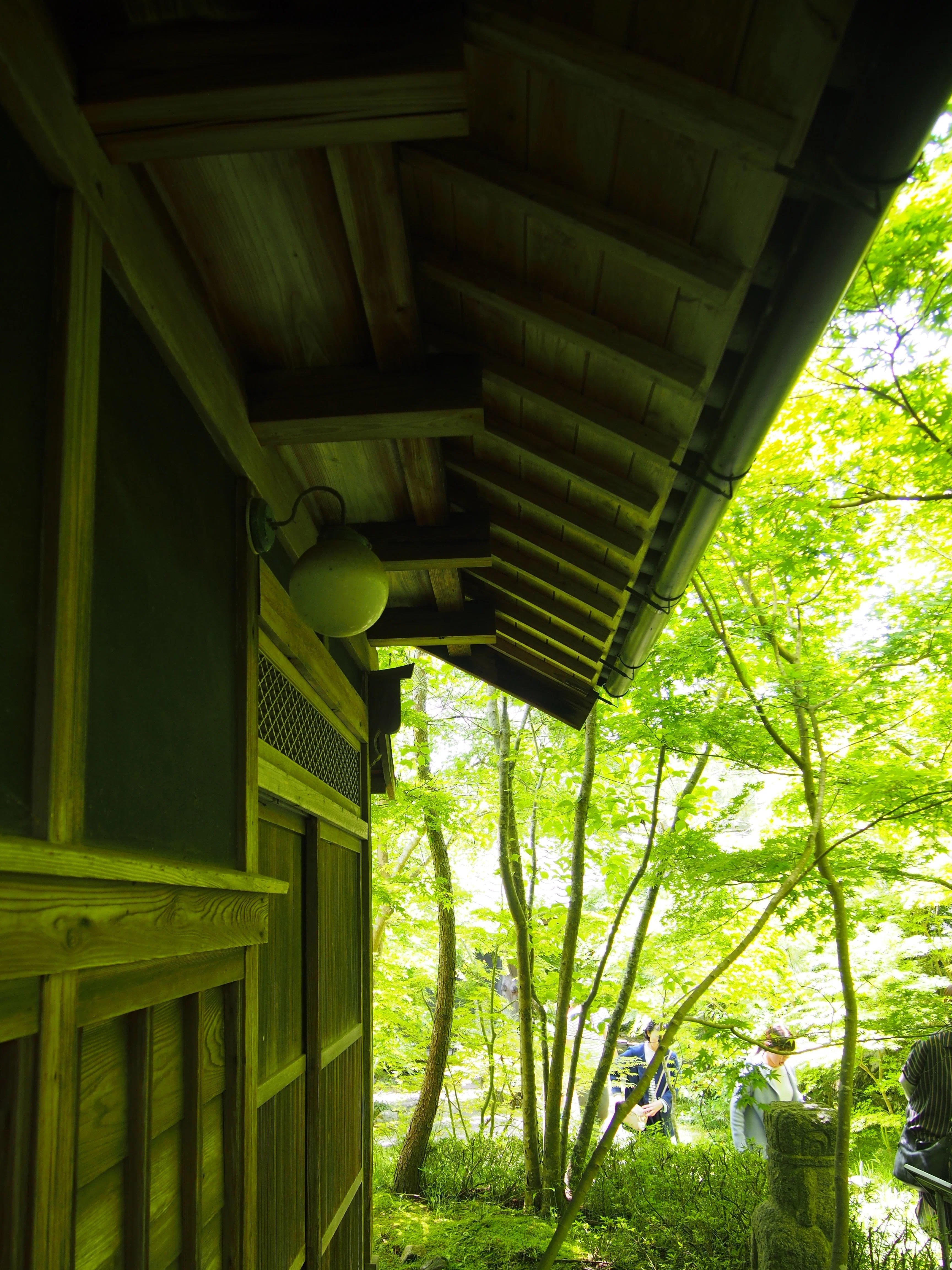 贅沢な緑の時間。松山庭園美術館で深緑を味わい尽くす。｜niwa_emon