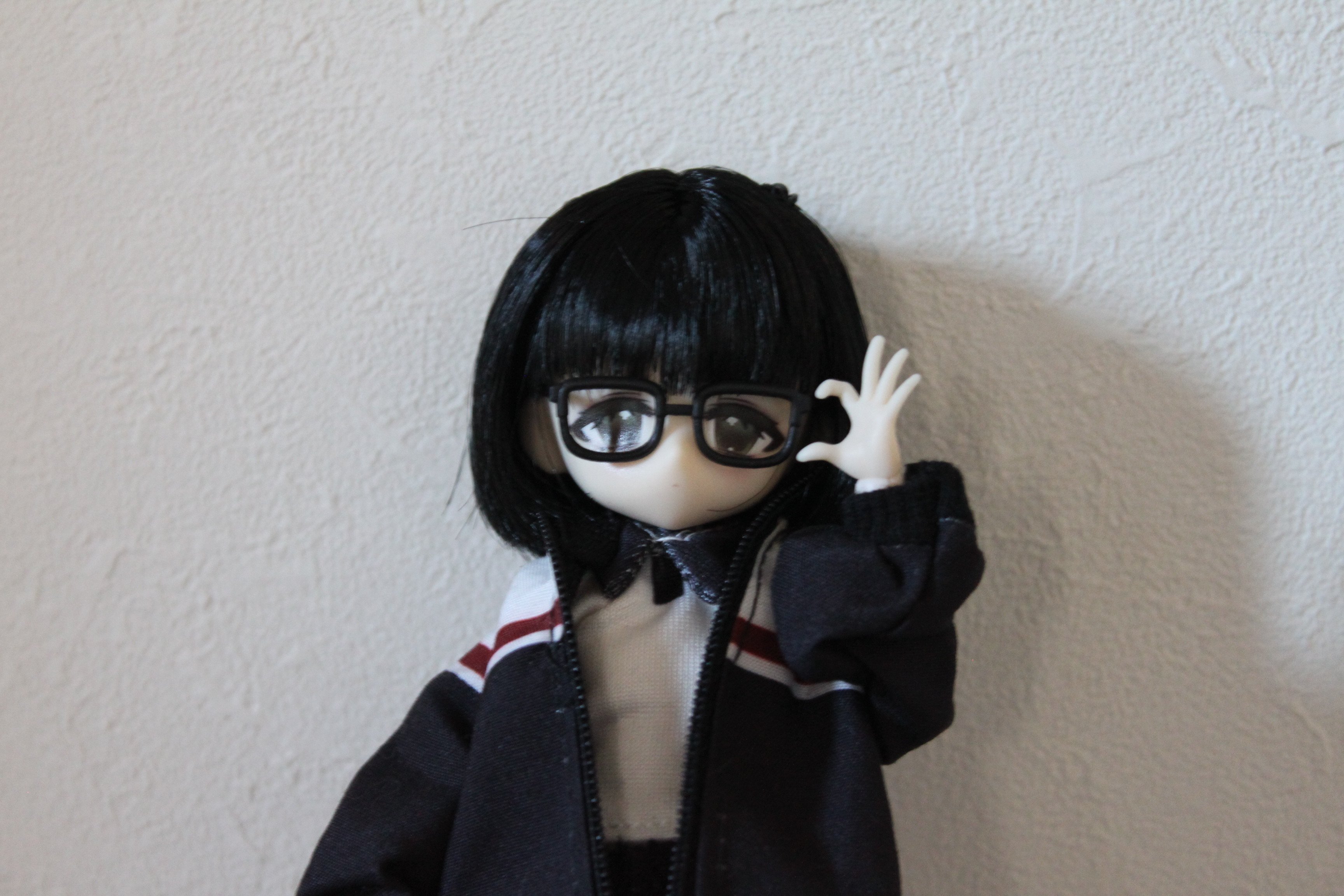 ドールお迎えレポ ： 蝉ちゃんが我が家にやってきた。 ― 悸動瞬息 「未