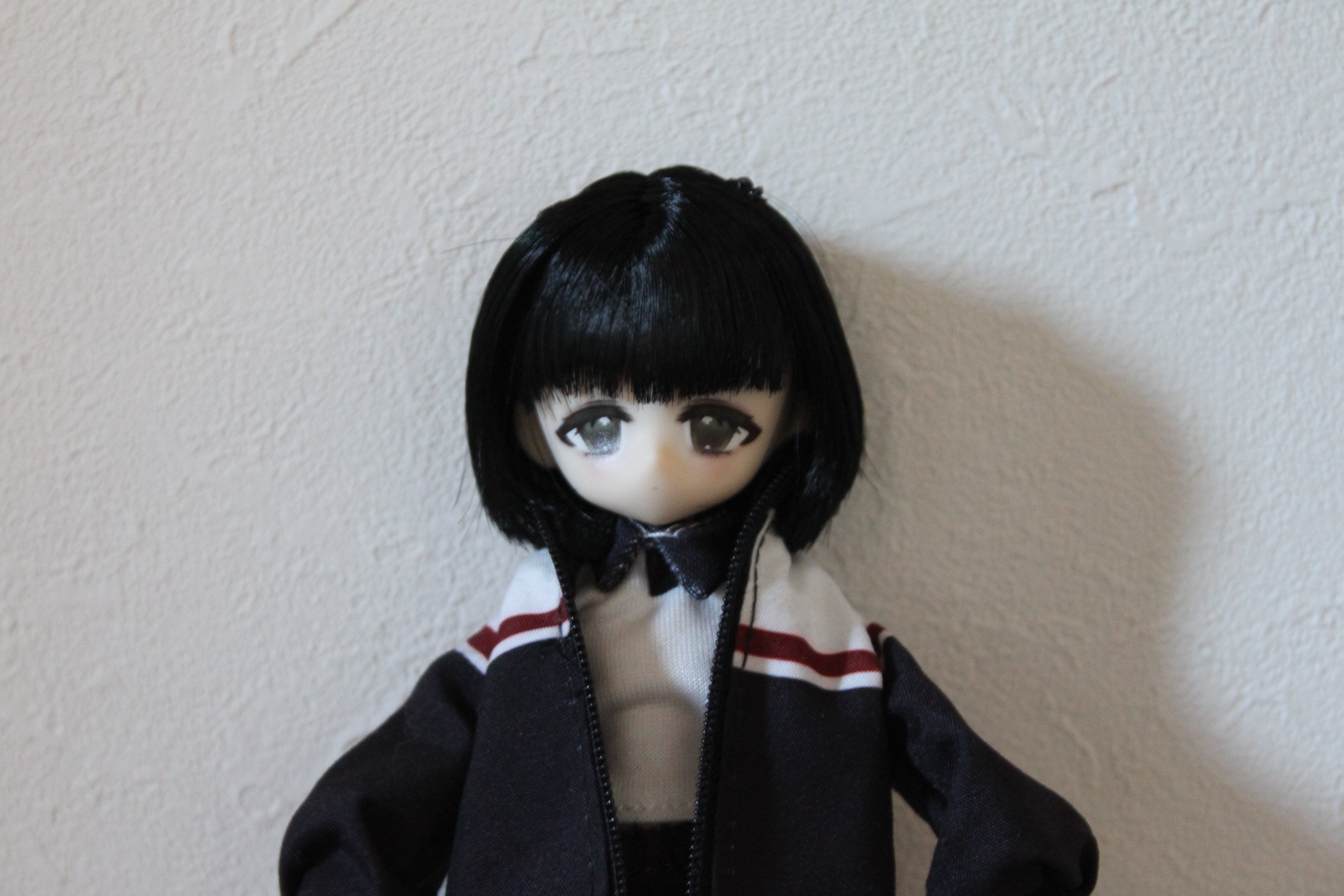 ドールお迎えレポ ： 蝉ちゃんが我が家にやってきた。 ― 悸動瞬息 「未