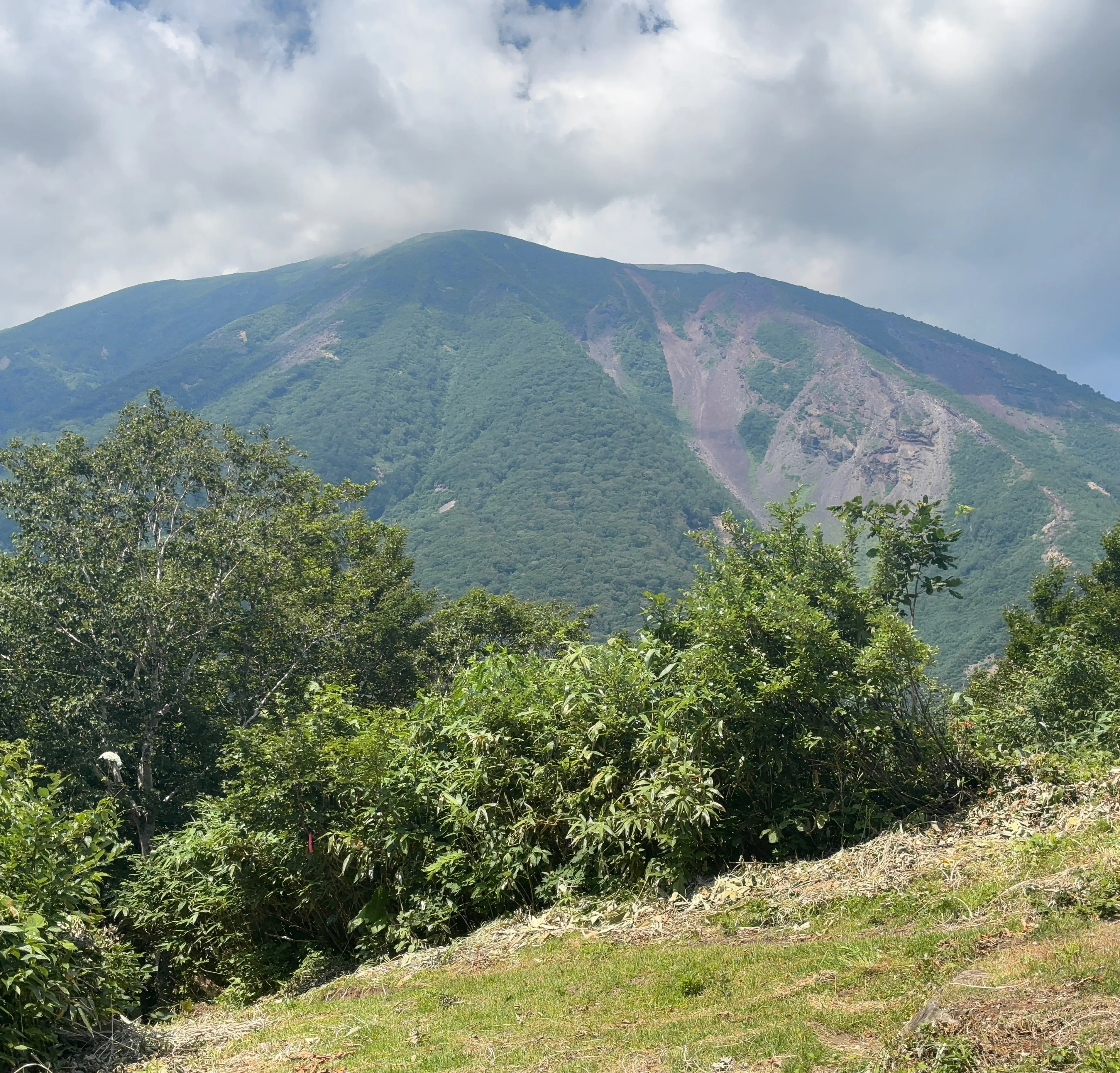 鞍掛山登山｜ゆーたま