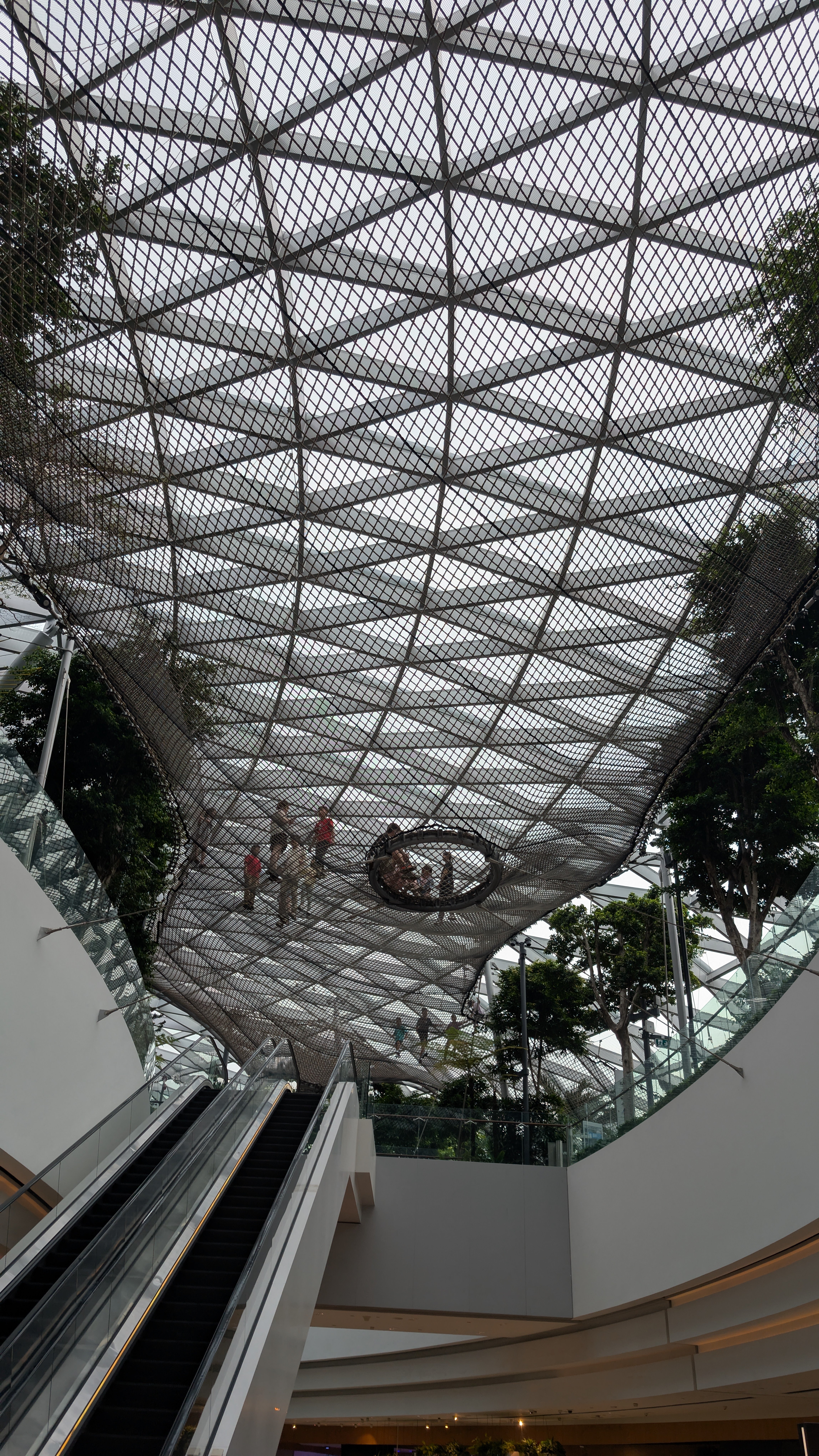 🌏シンガポール🇸🇬見聞録|チャンギ国際空港|㊗️建国60周年 🌏シンガポール🇸🇬見聞録|チャンギ国際空港|㊗️建国60周年