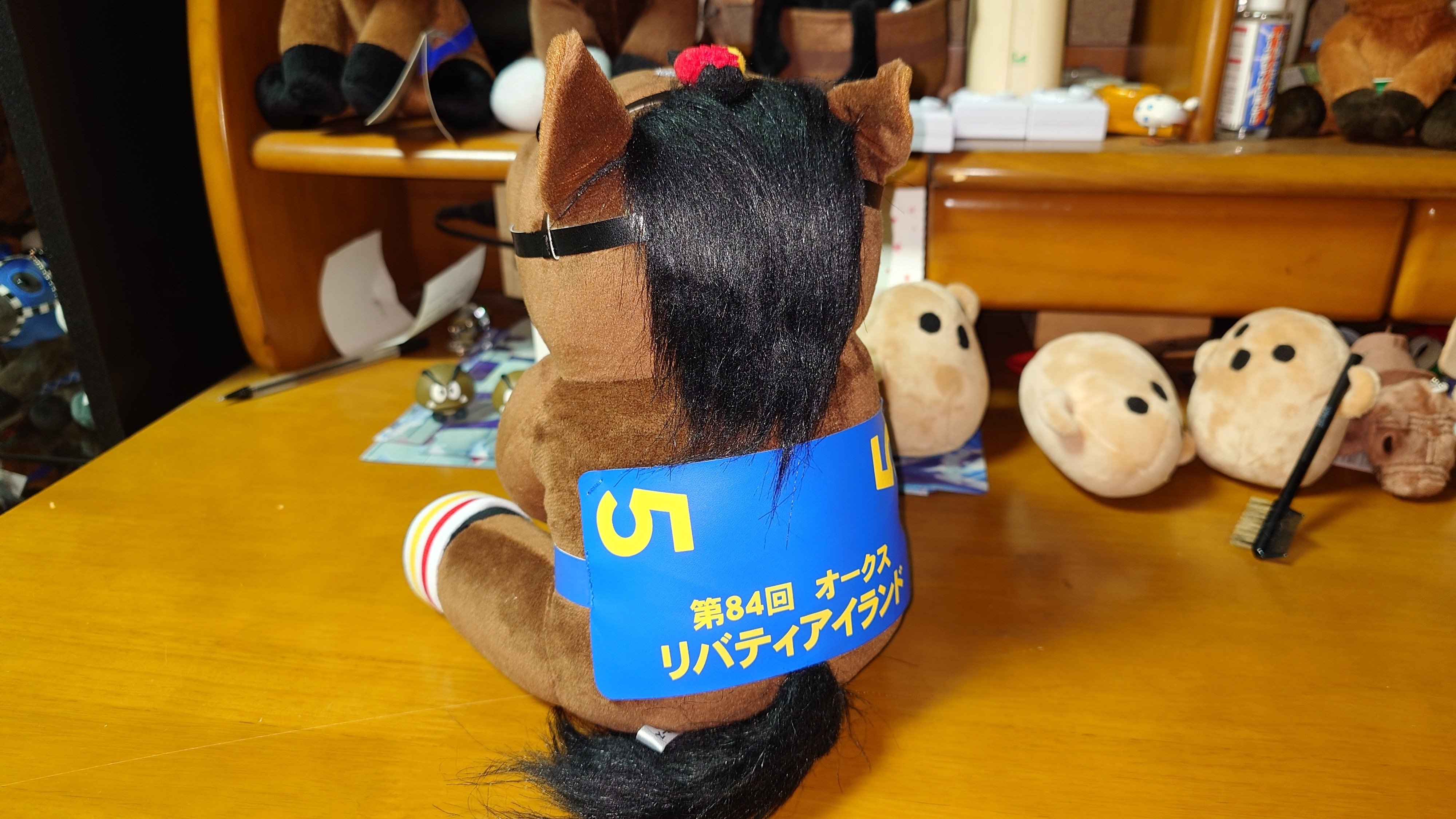 アイドルホース❣️ドレス❣️マント❣️ アイドルホース Lサイズ(コウジチュウダヨ)｜デカル(ΦωΦ＊)の