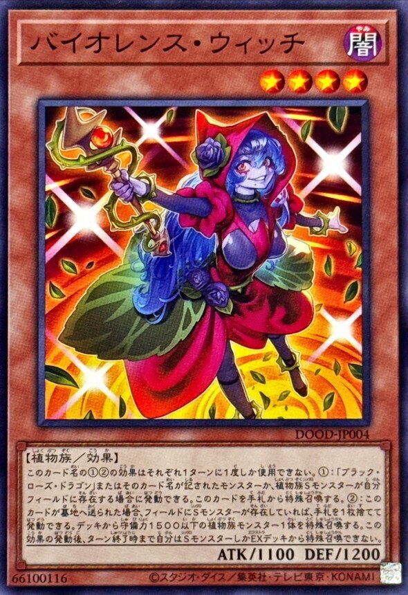 たぶん世界一簡単なローズドラゴン入門｜ファン・トム
