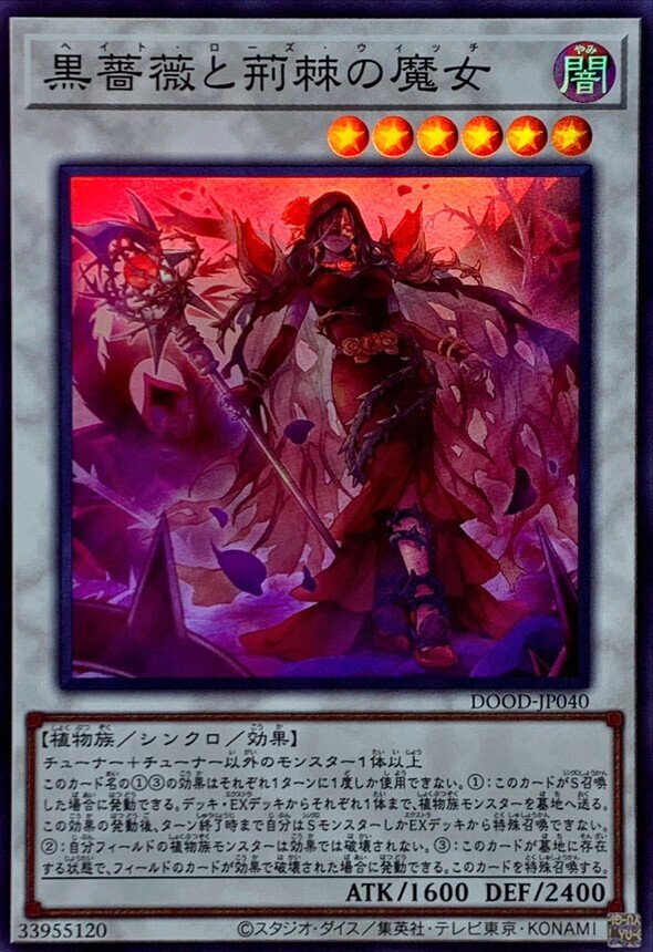 たぶん世界一簡単なローズドラゴン入門｜ファン・トム