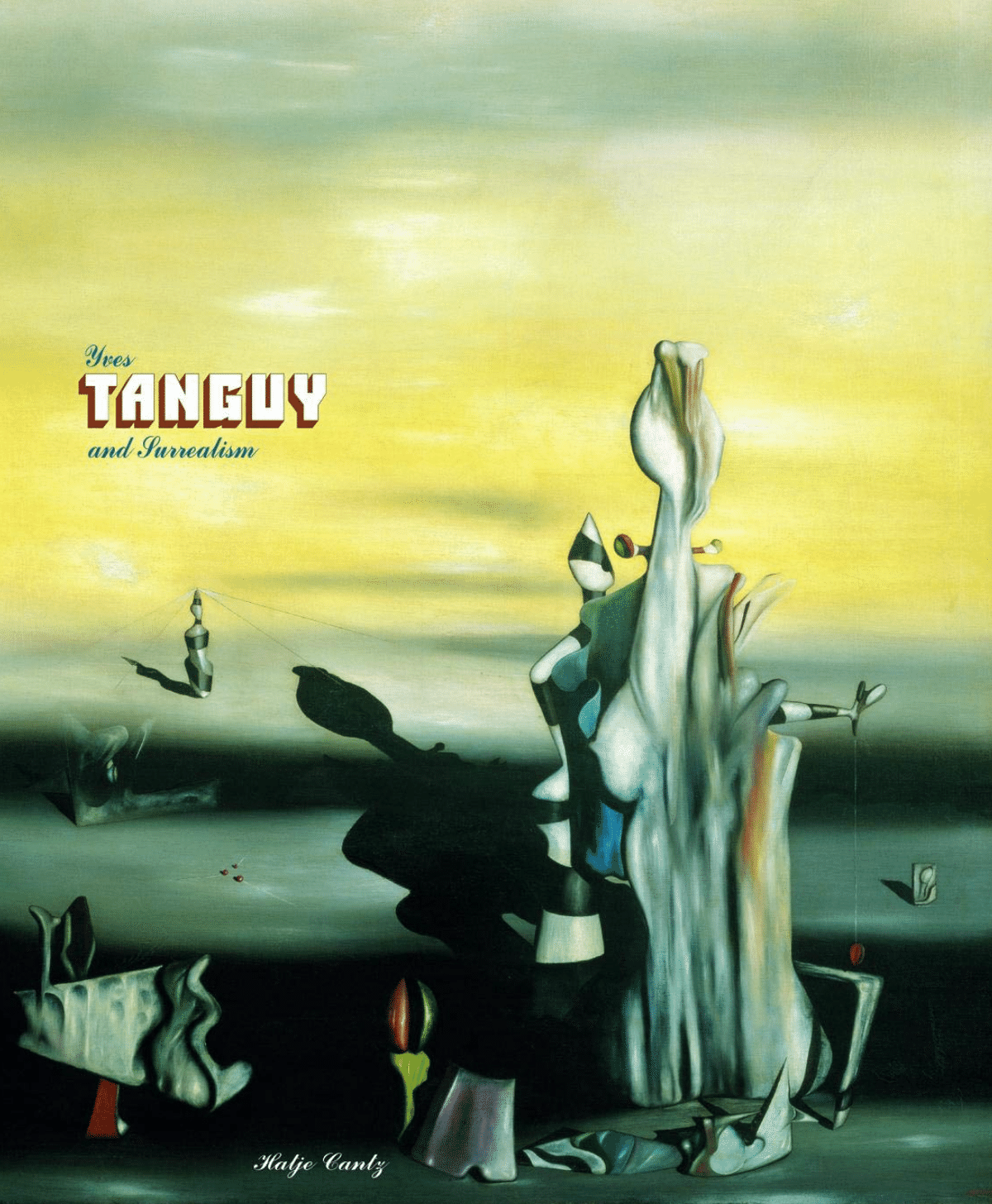 Yves Tanguy イヴ・タンギー 洋書 図録 作品集 芸術 アート ART