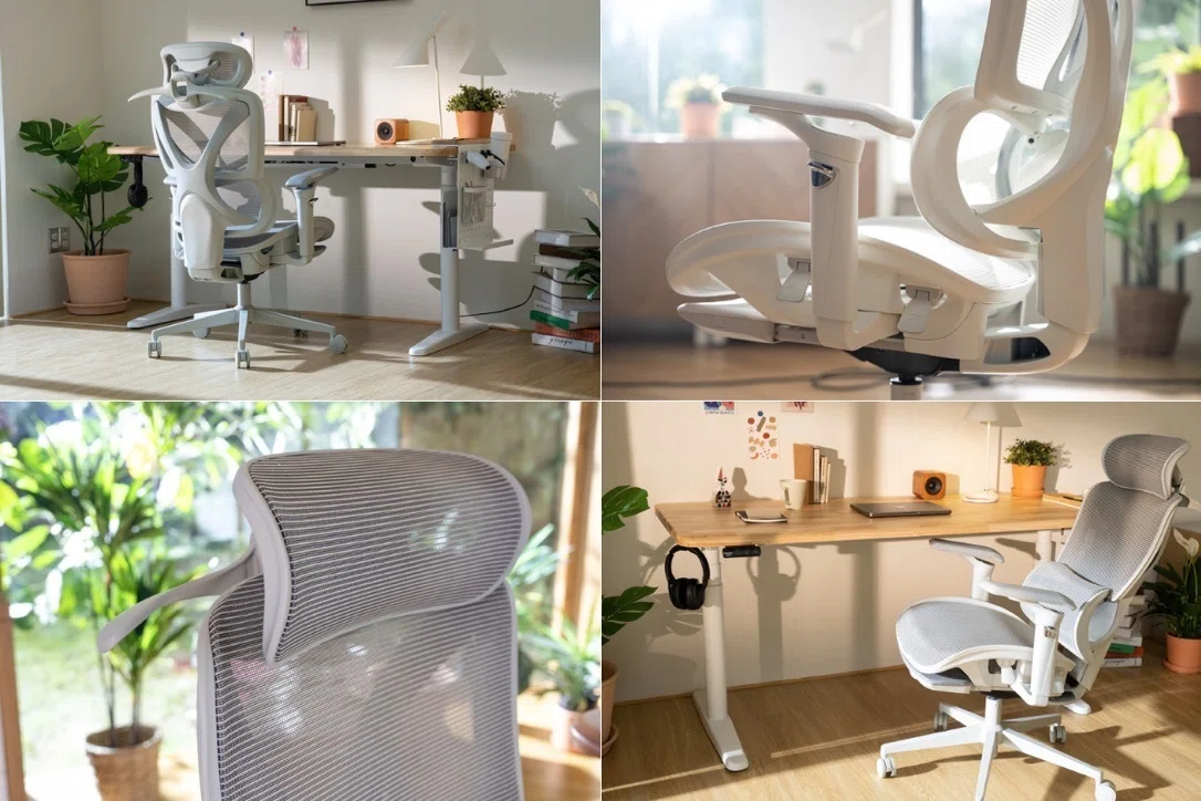 COFO Chair Pro 2を長期使用レビュー|半年使ってもヘタらない!腰痛・蒸れ・姿勢対策まで徹底評価