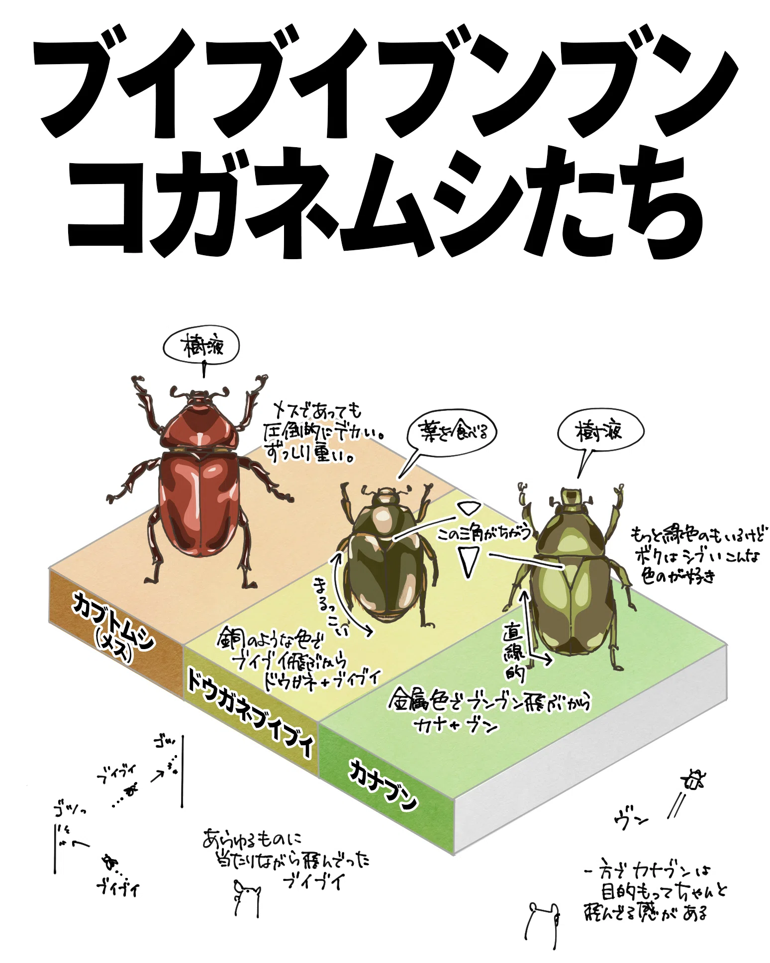 ブイブイ、ブンブン、コガネムシたち｜くますけ｜自然ガイド・クリエイター