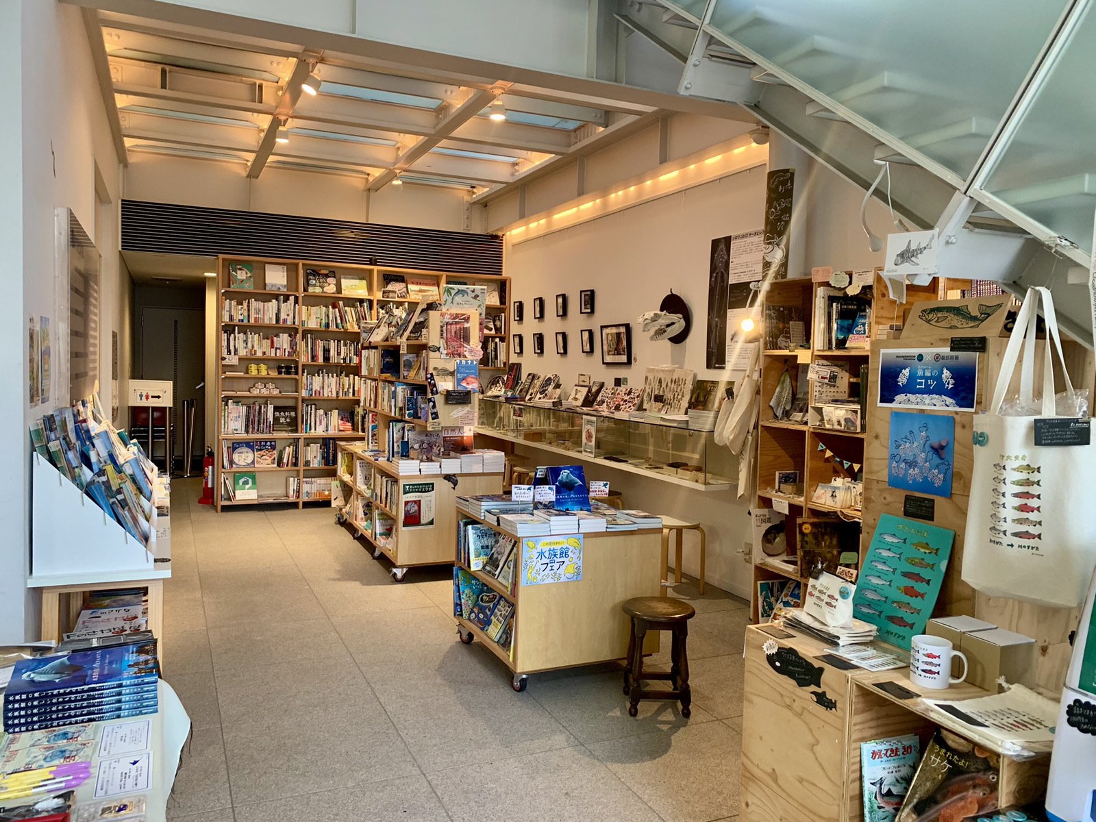 第5回サカナの写真を見せびらかす会🐟 開催！【8/27(水) 19:00～20:30