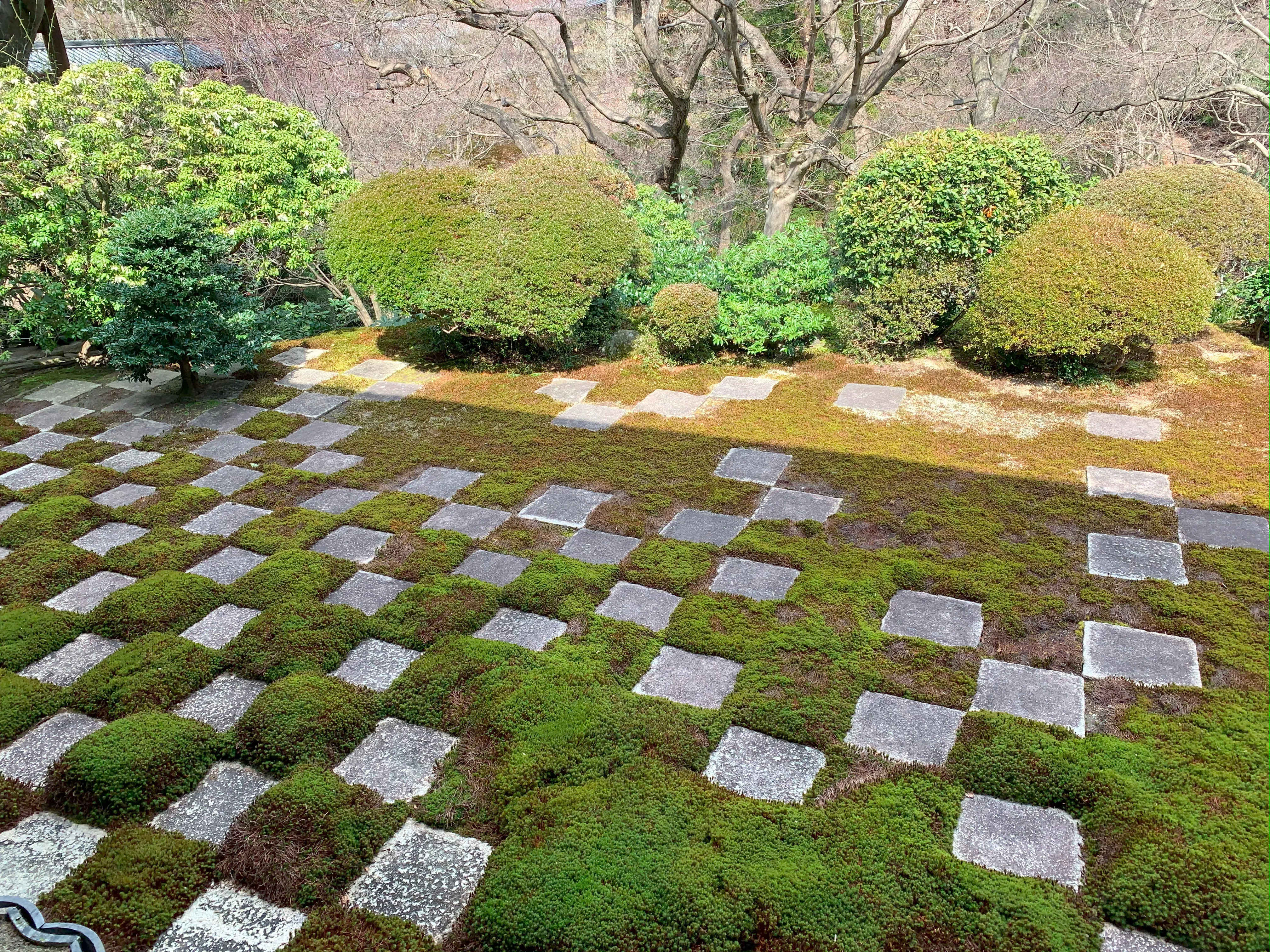 上川伸展 「MOSS GARDEN 壁にある庭」｜MIZOE ART GALLERY