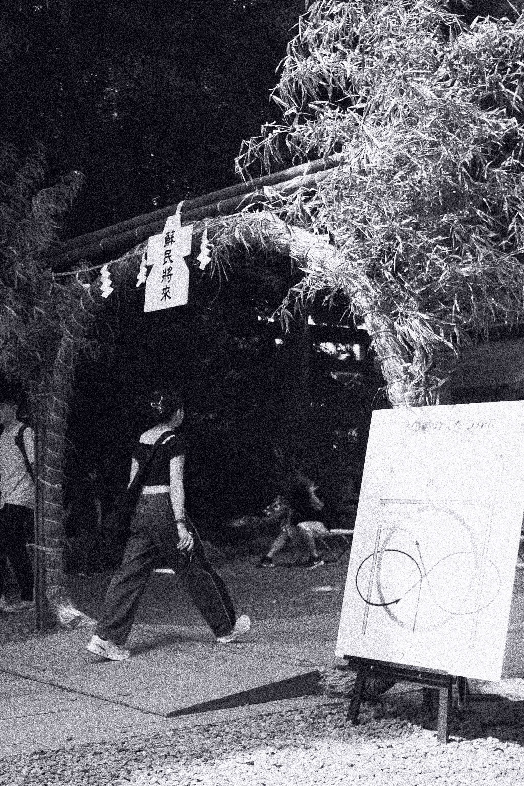 モノクローム 令和7年8月の、