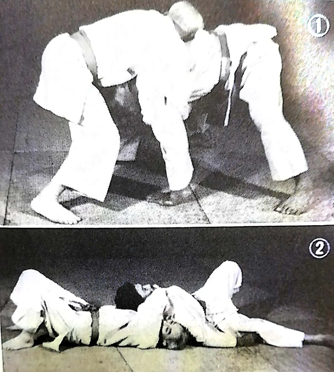 柔術の勝負 明治期の柔道基本技術 対訳 柔術の勝負 明治期の柔道基本技術 対訳 対訳 The Game of Ju-jitsu