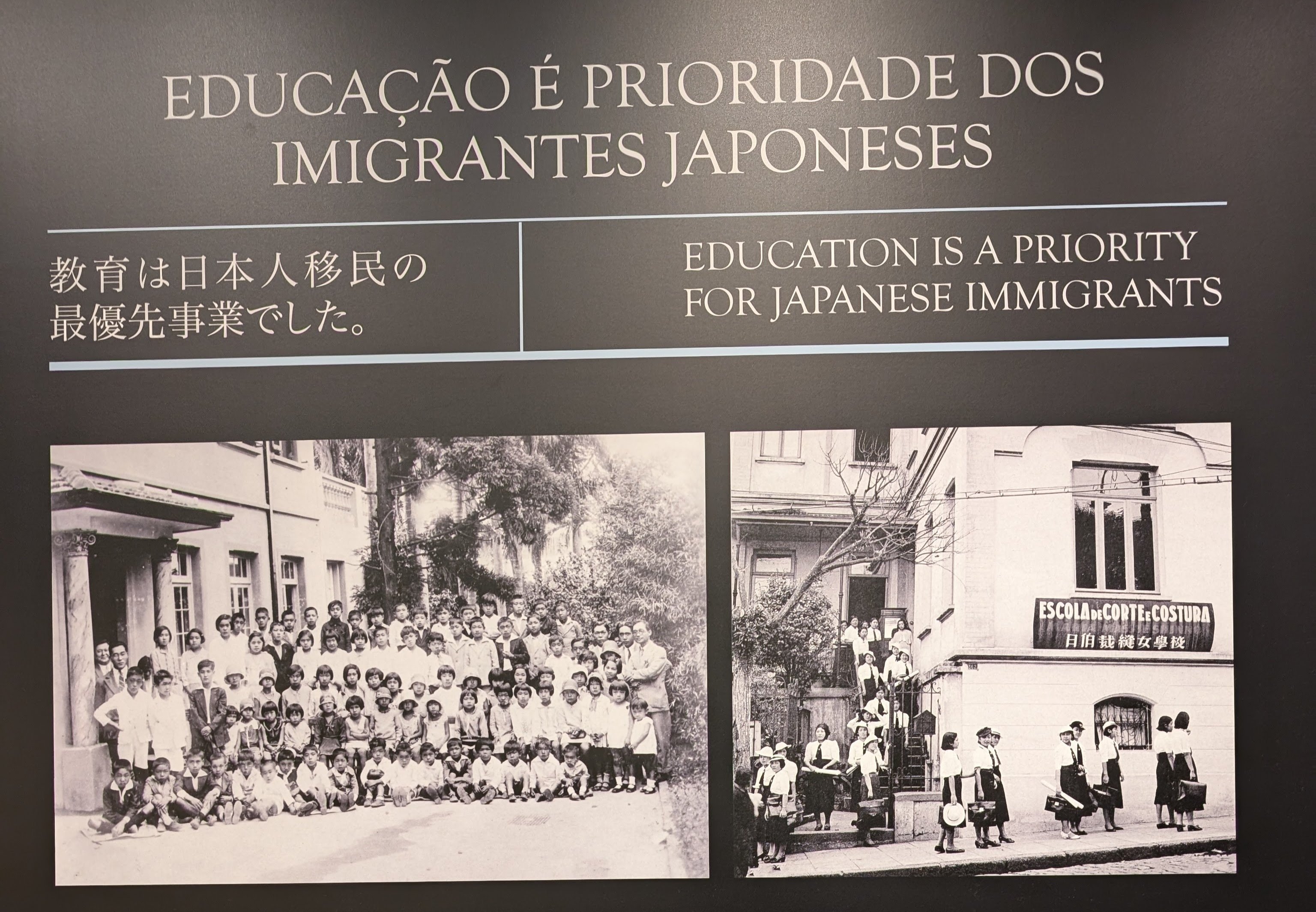 ブラジルの日本人移民と教育｜安藤 未希 | メディア情報