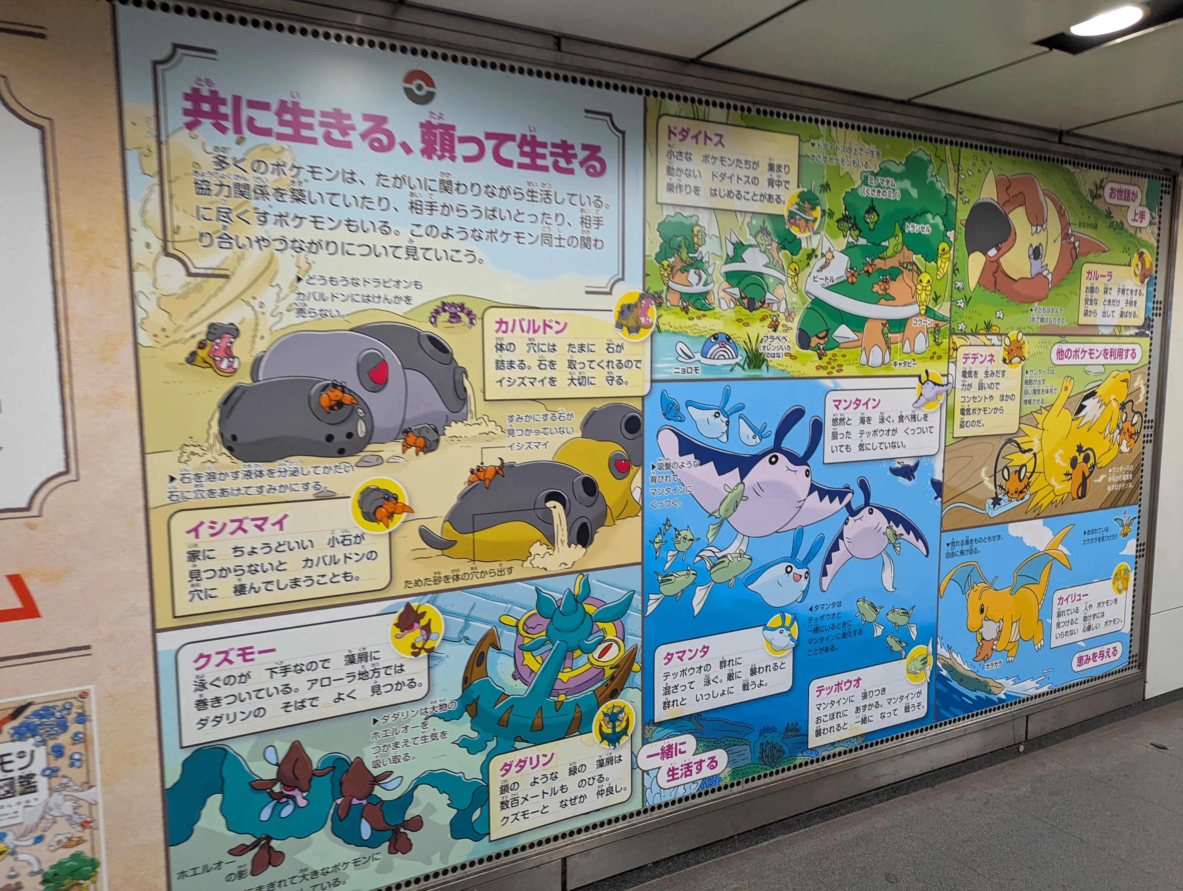 まさにマチカドミュージアム ポケモン生態図鑑の広告 | 2025/8/10