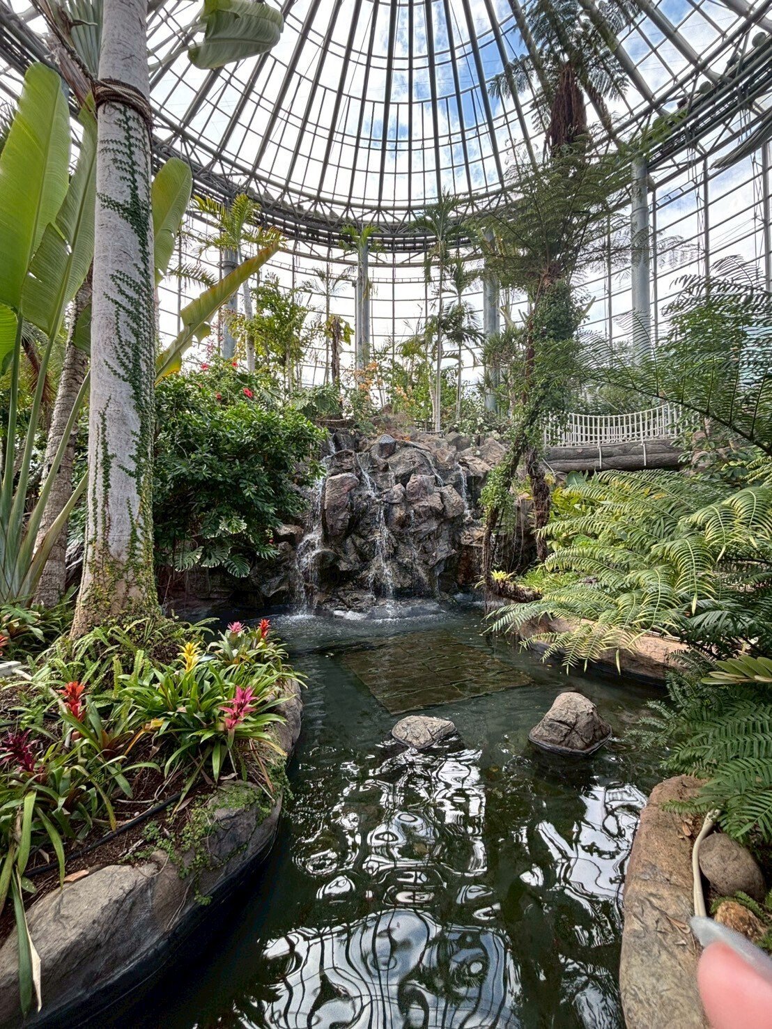 おでかけ】BOTANICA MUSEUM｜ポニー北山