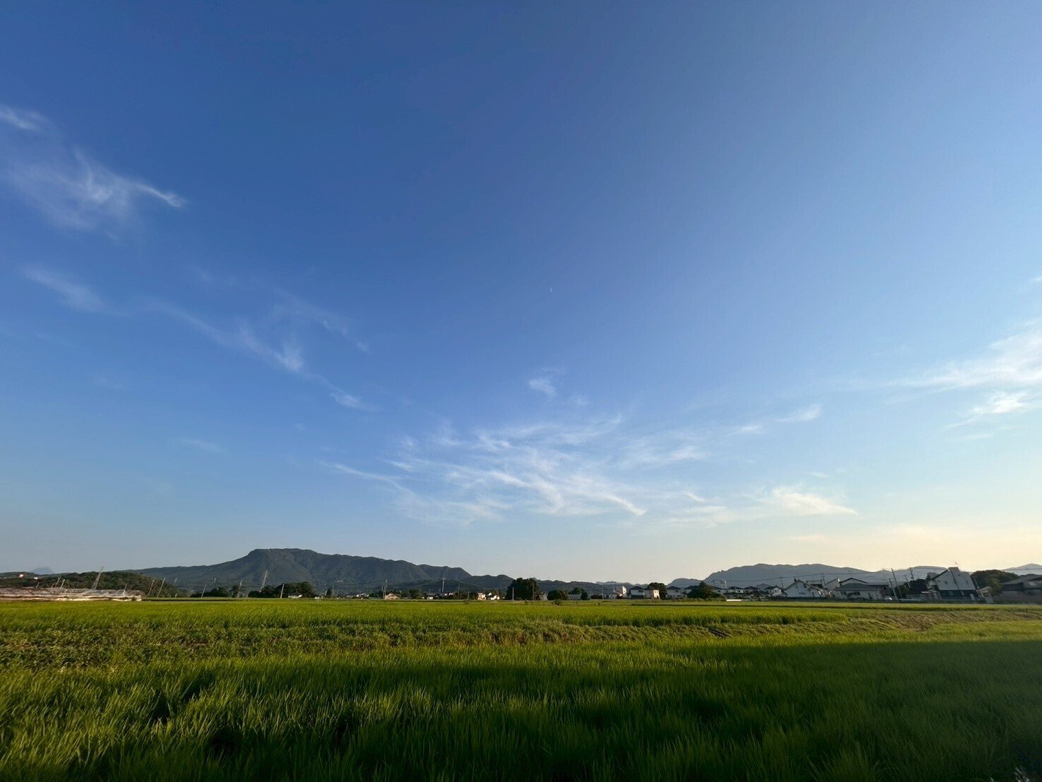 No. 1【初夏の紀の川里風景】 夏の1コマ ～田舎の夏の風景をお届けします～｜シンギョドン