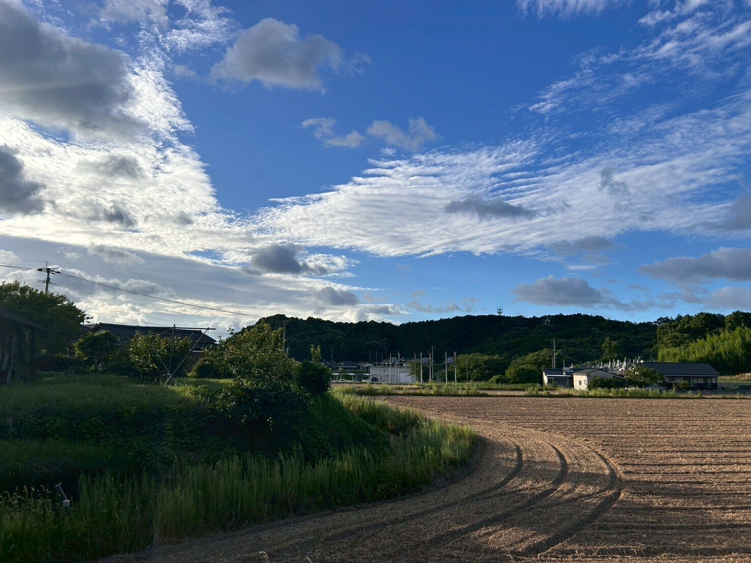 夏の1コマ ～田舎の夏の風景をお届けします～｜シンギョドン