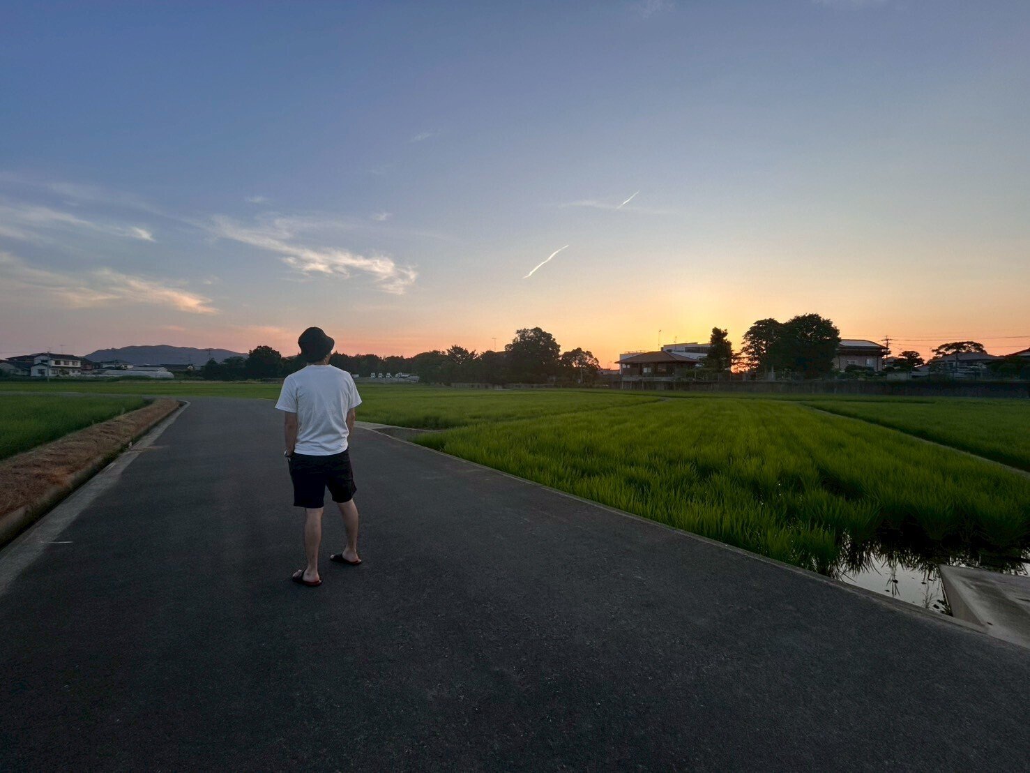 夏の1コマ ～田舎の夏の風景をお届けします～｜シンギョドン