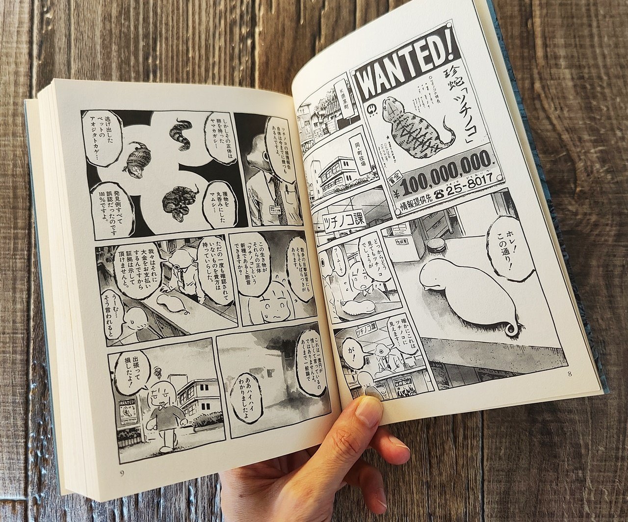 おむすびの転がる町』panpanya（白泉社）｜読書感想文134｜Nuts Book Stand