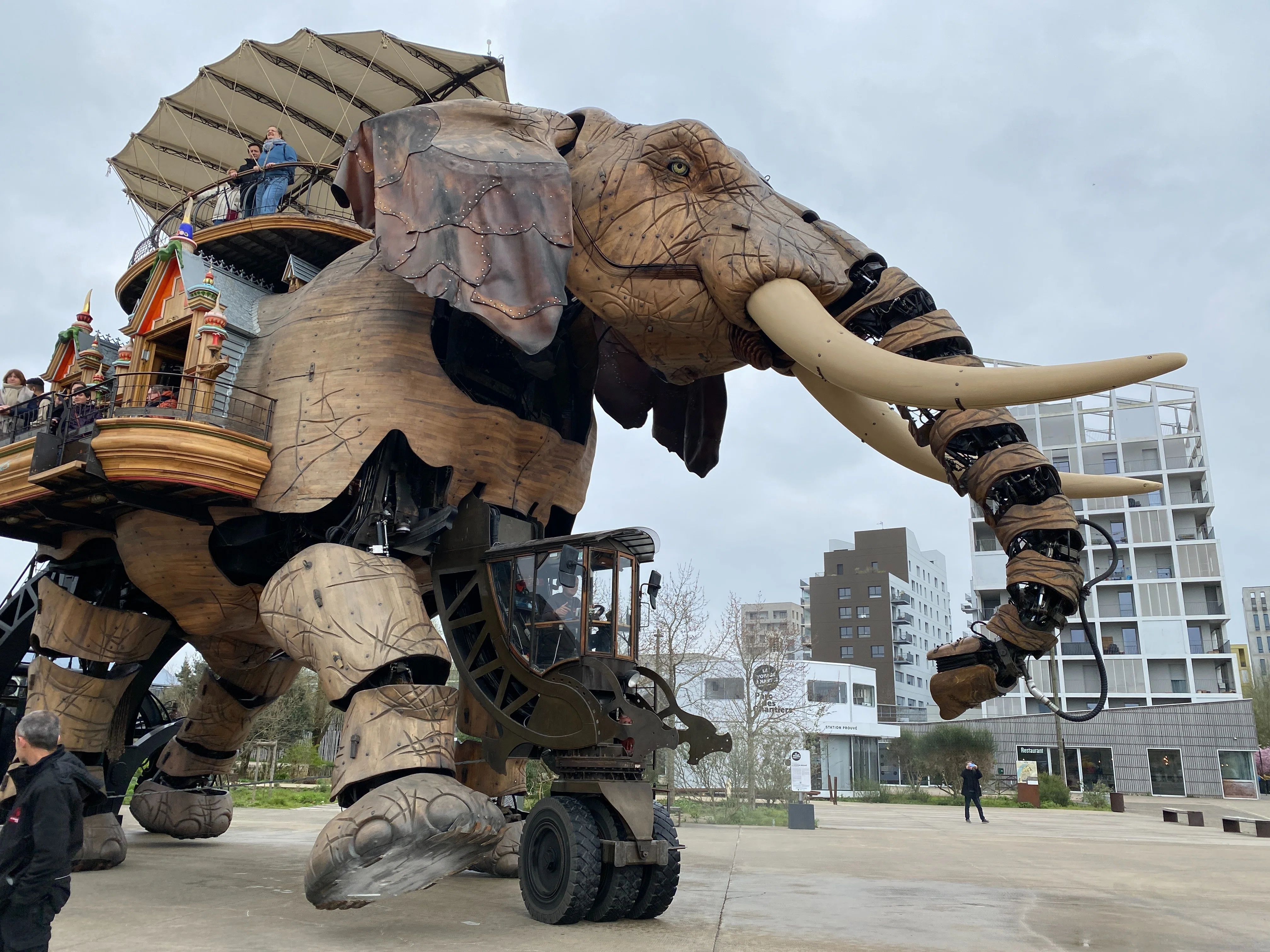 ゼンマイ仕掛けの象 ジュール・ヴェルヌの世界へ。 機械仕掛けの動物図鑑 〈レ・マシン・ド