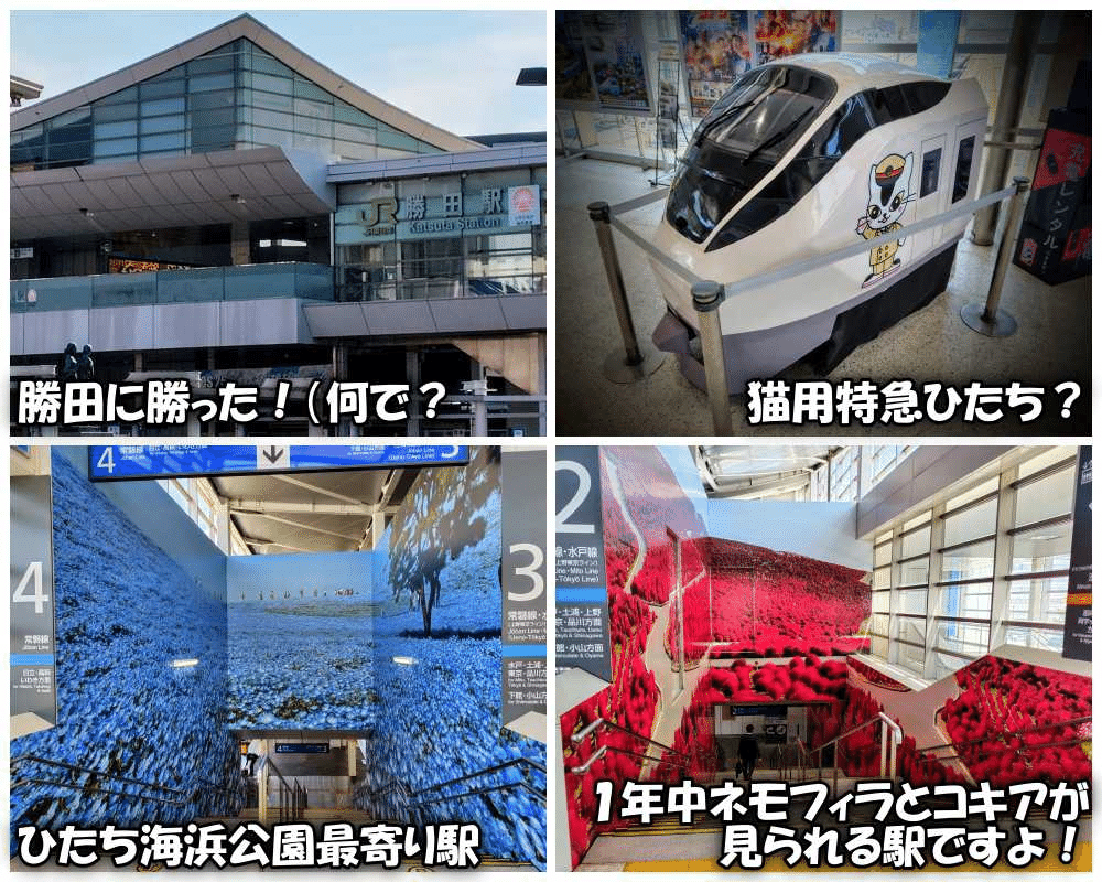 お那珂が万福みなと町♪ﾛｰｶﾙ線で干芋海岸！勝田に負けた＠茨城県