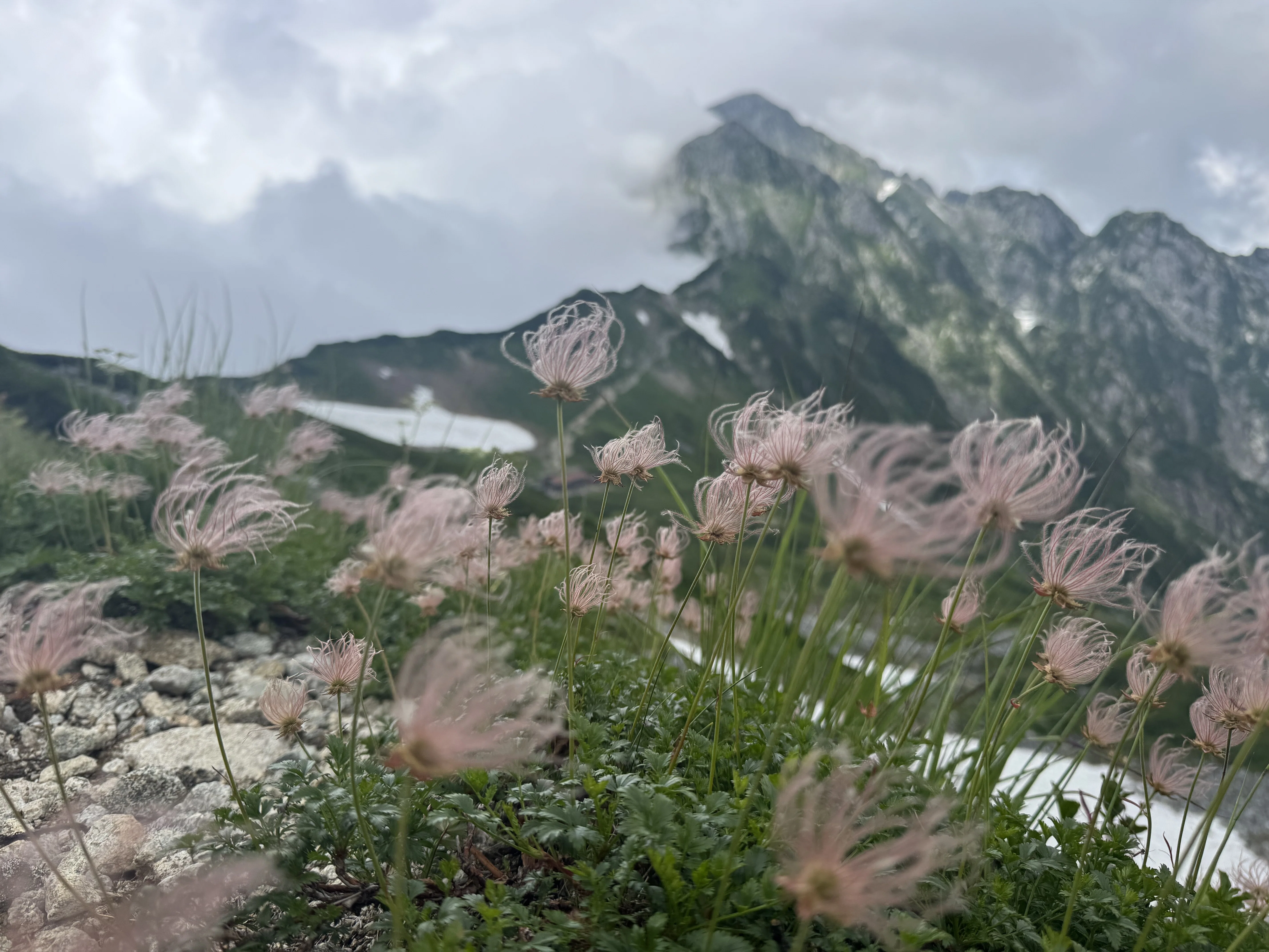 秋風月剱岳｜山岳ガイド本郷博毅