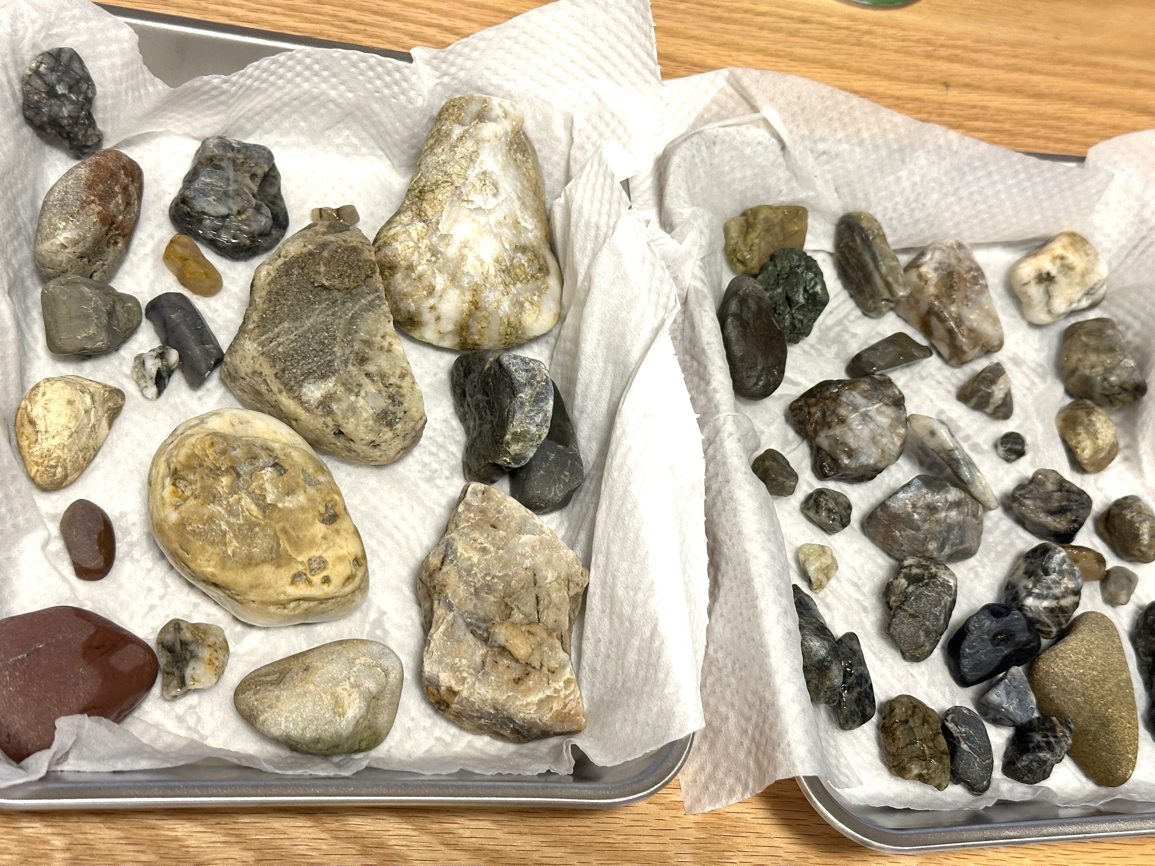 日記】Google AIと多摩川で石拾い｜ハズ